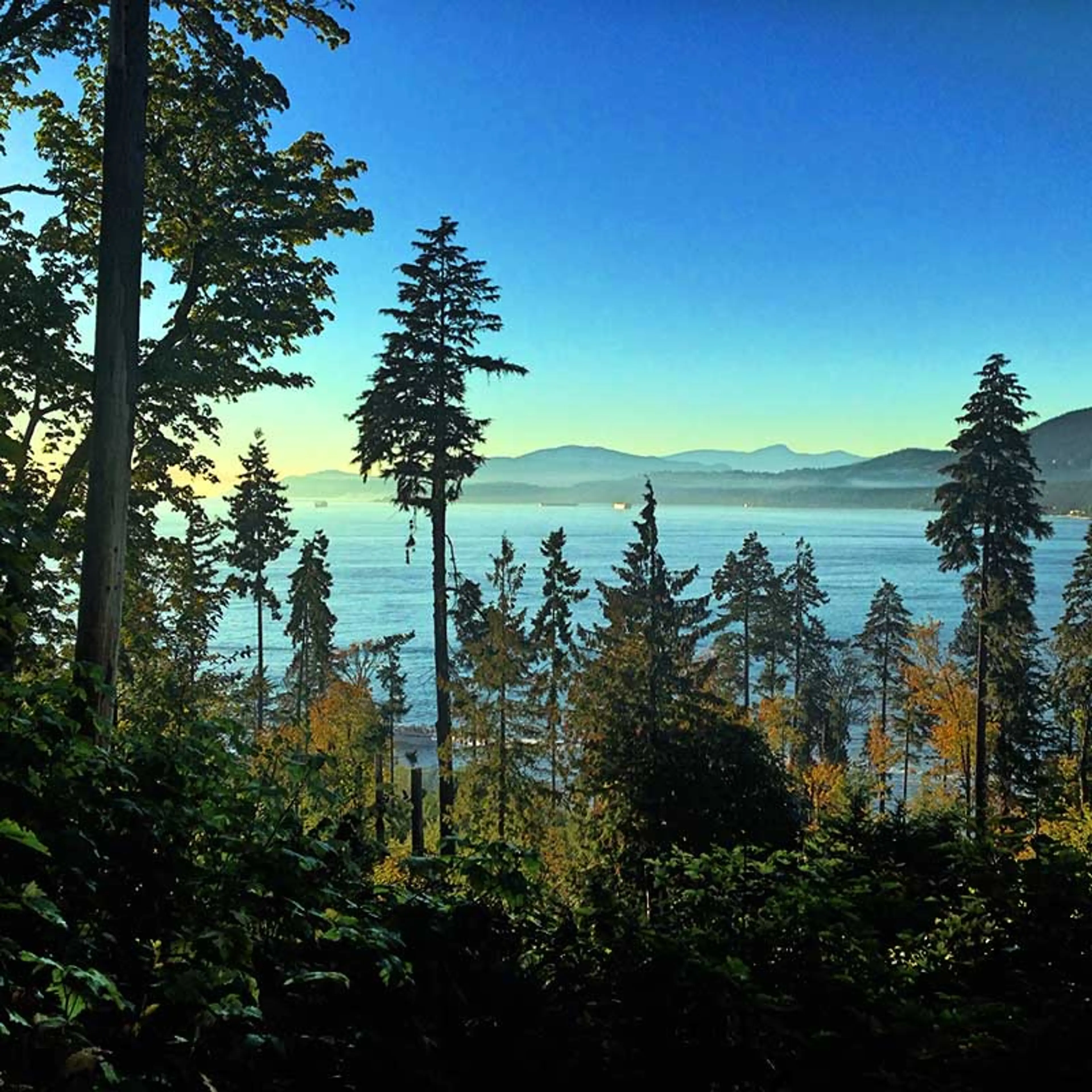 Unearth Stanley Park’s Dark Secrets on Forbidden Vancouver’s New Adventure