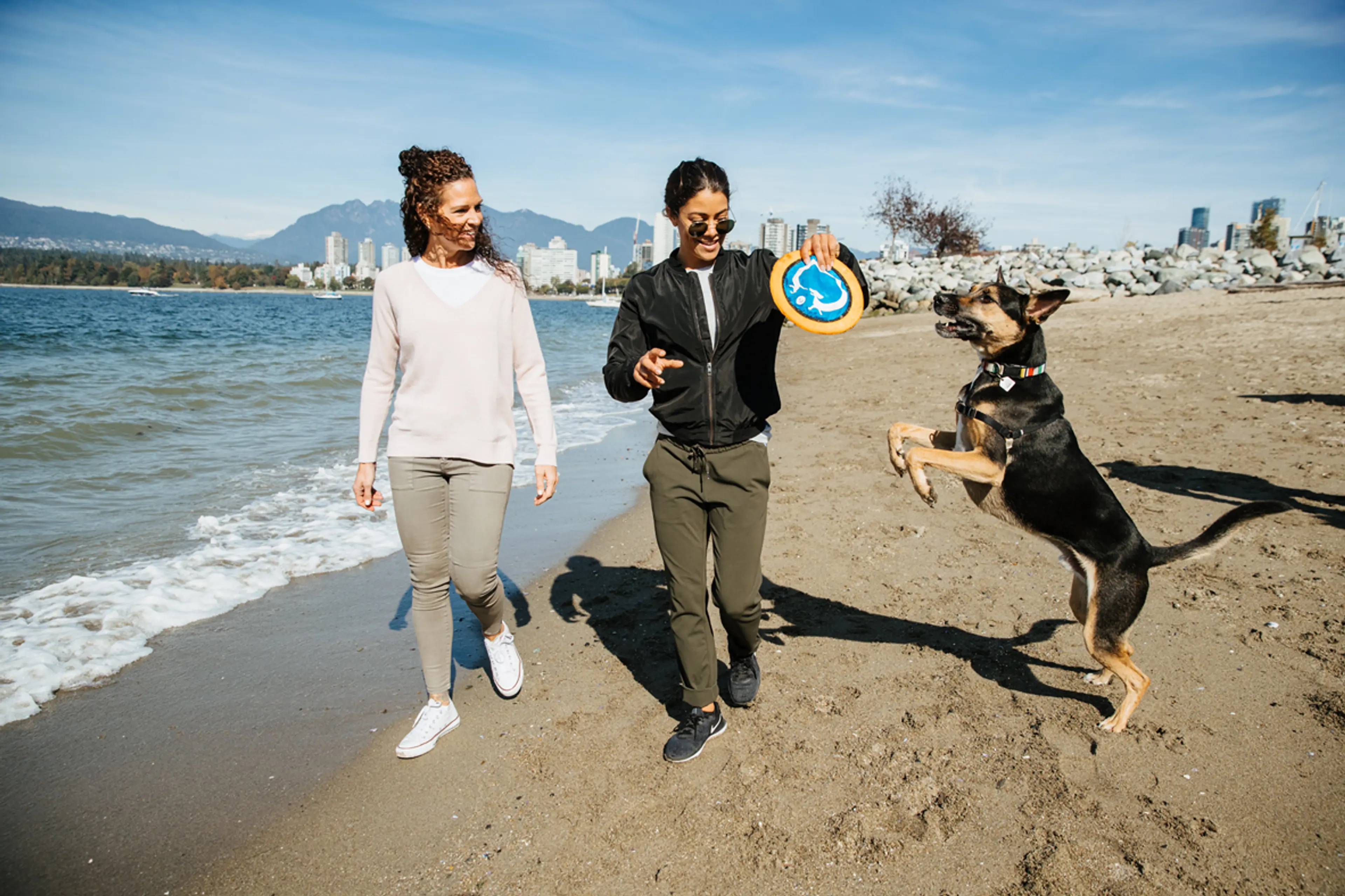 dog beach