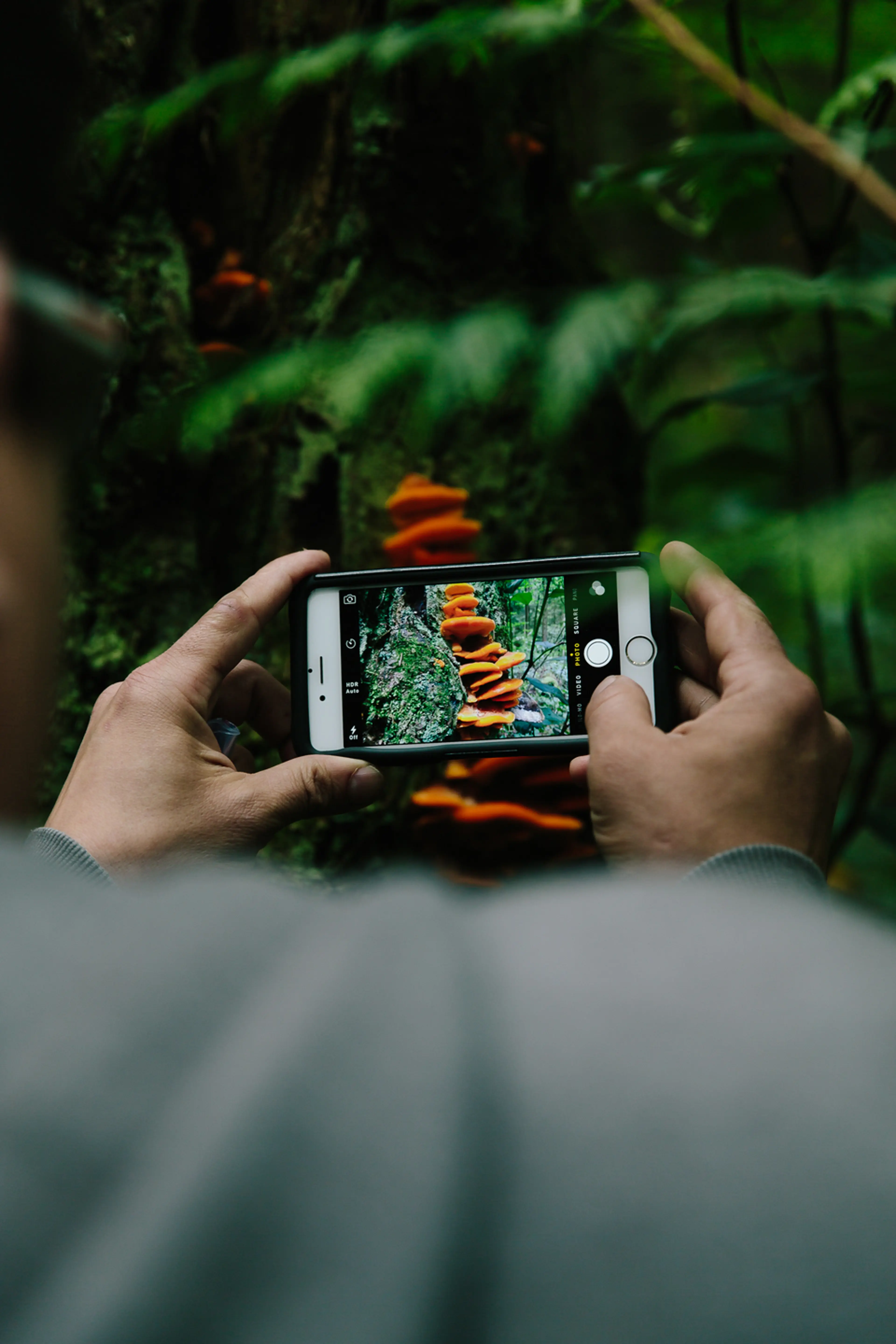 A person takes a photo of a fungus in Vancouver