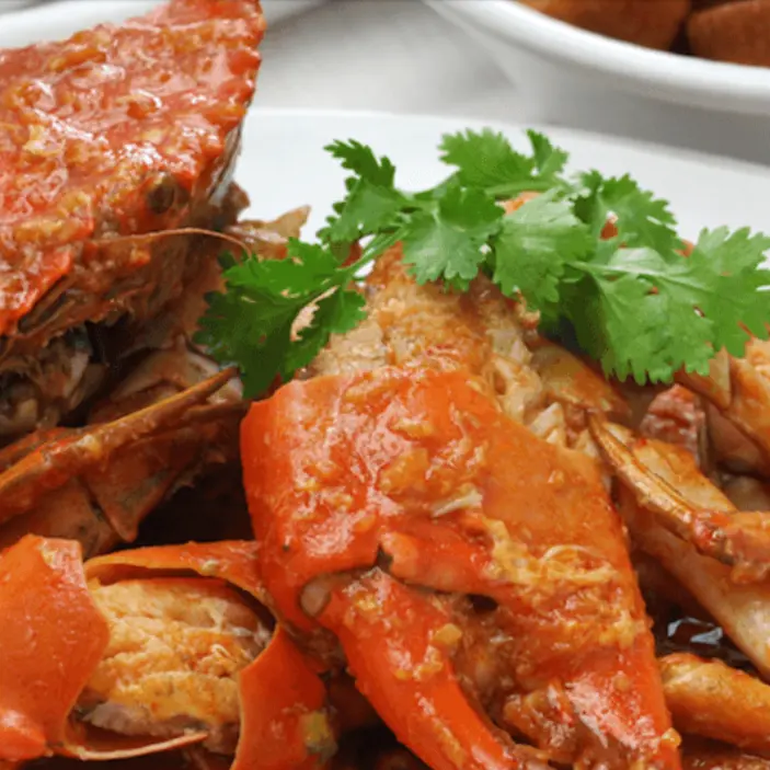 james_22573AB9-DDD2-2F7A-628EF68B421E02CB-22573733ab4db7c_22574683-bc65-e443-ce9ccc328f11ead7