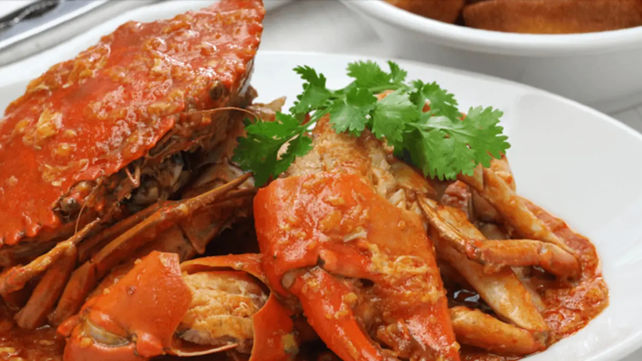 james_22573AB9-DDD2-2F7A-628EF68B421E02CB-22573733ab4db7c_22574683-bc65-e443-ce9ccc328f11ead7