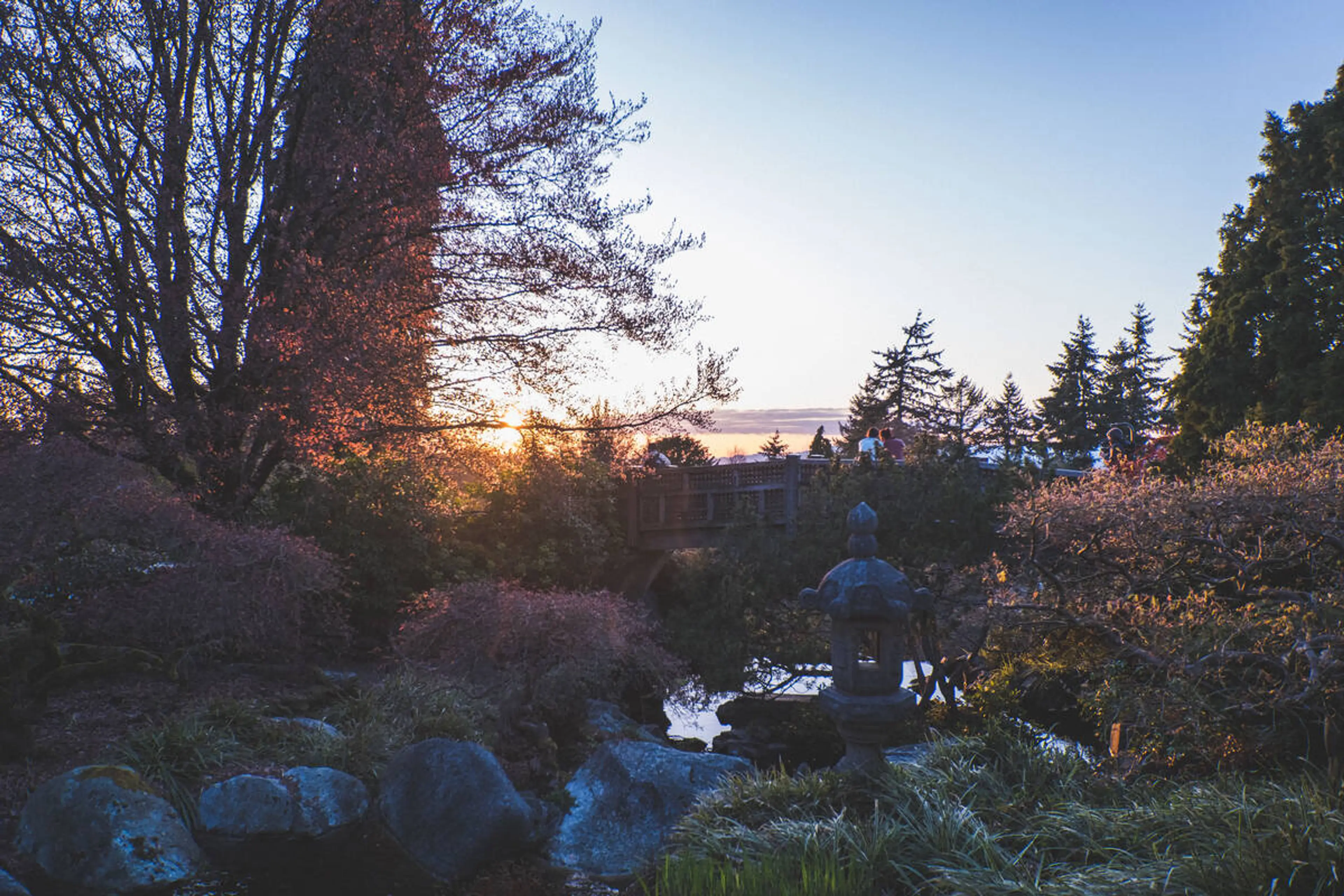 Sunset in Queen Elizabeth Park. 
