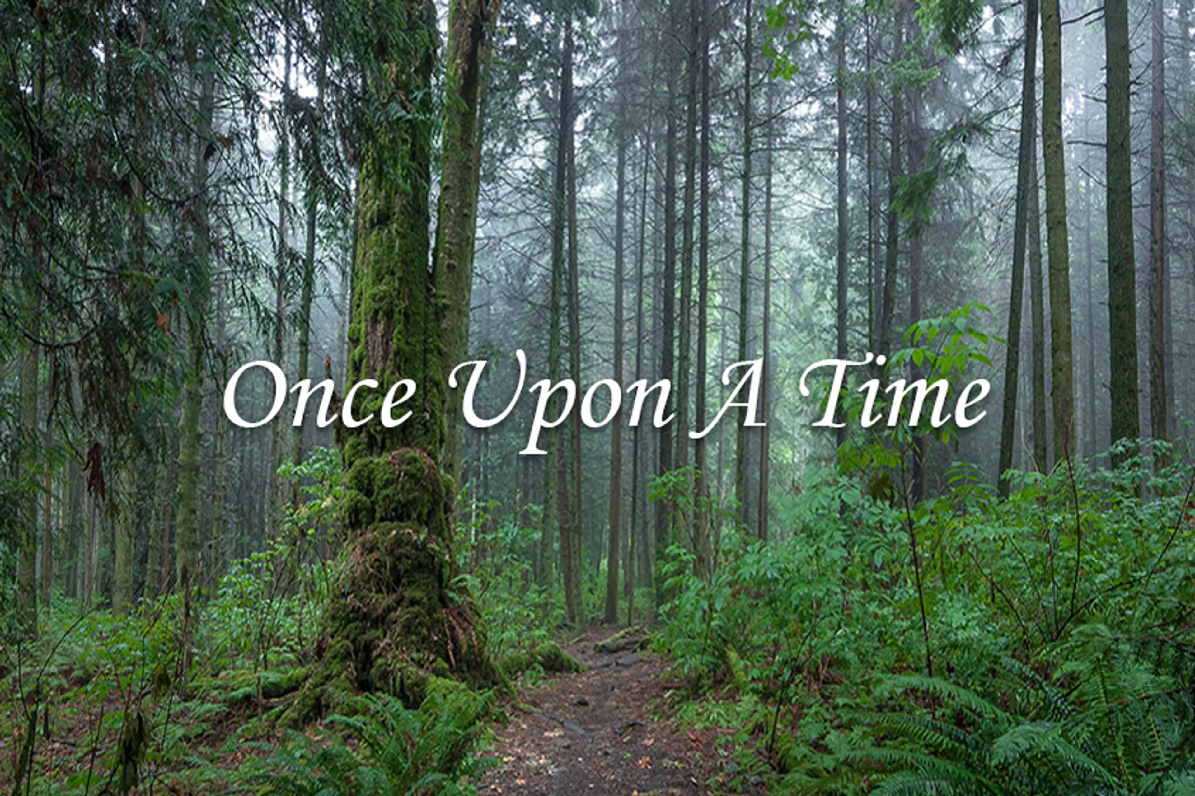 Once Upon a Time in Metro Vancouver