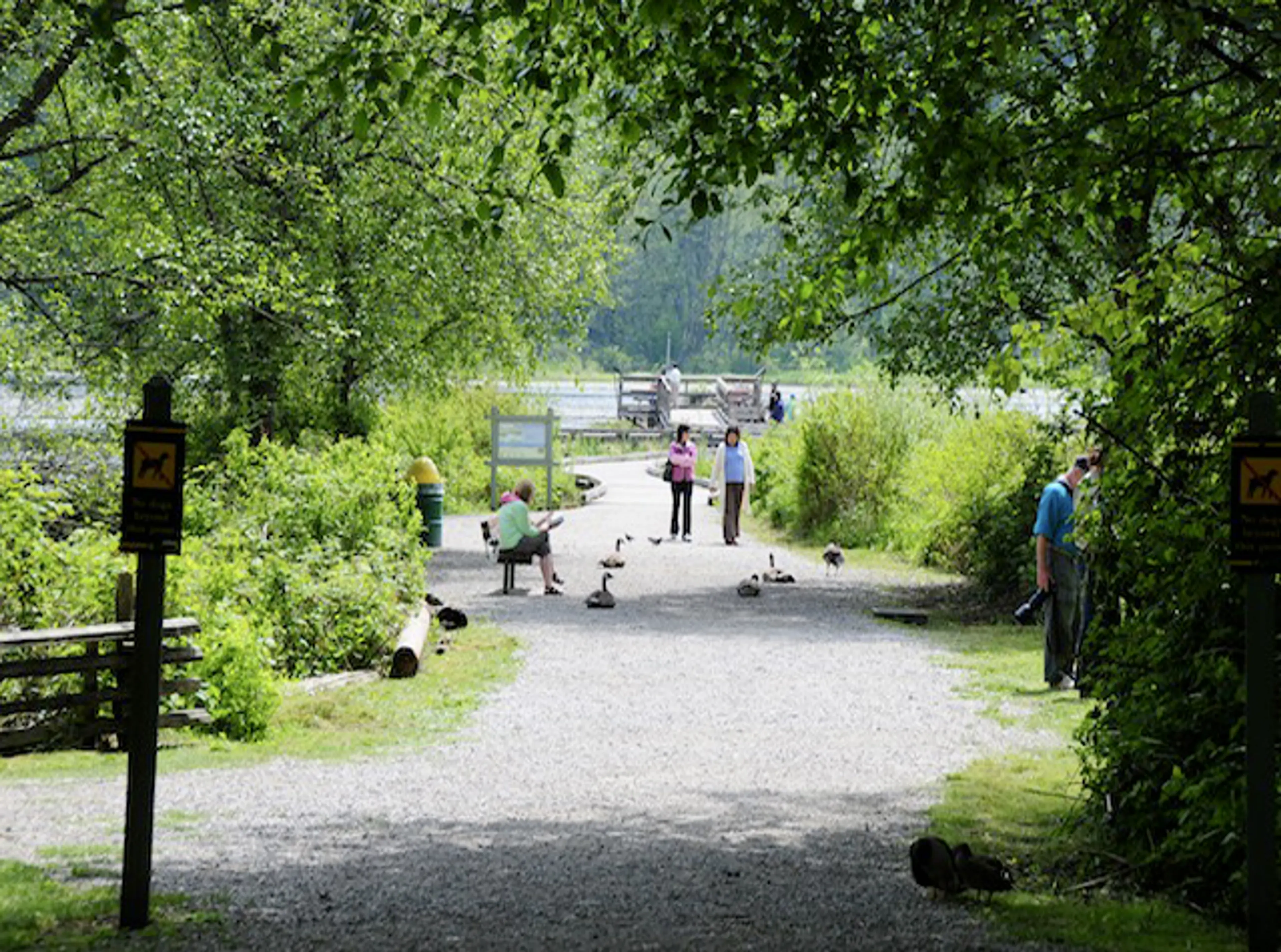 6 Things to Do at Burnaby Lake Regional Park