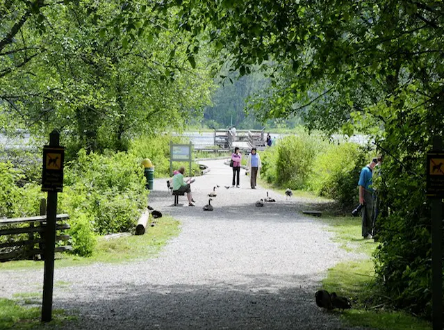 6 Things to Do at Burnaby Lake Regional Park