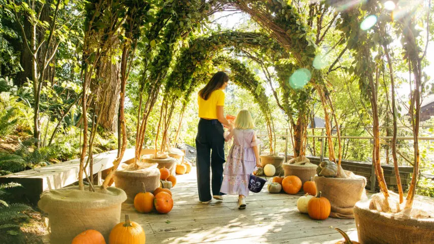 Fall display at the Canyon Frights event at Capilano Suspension Bridge Park