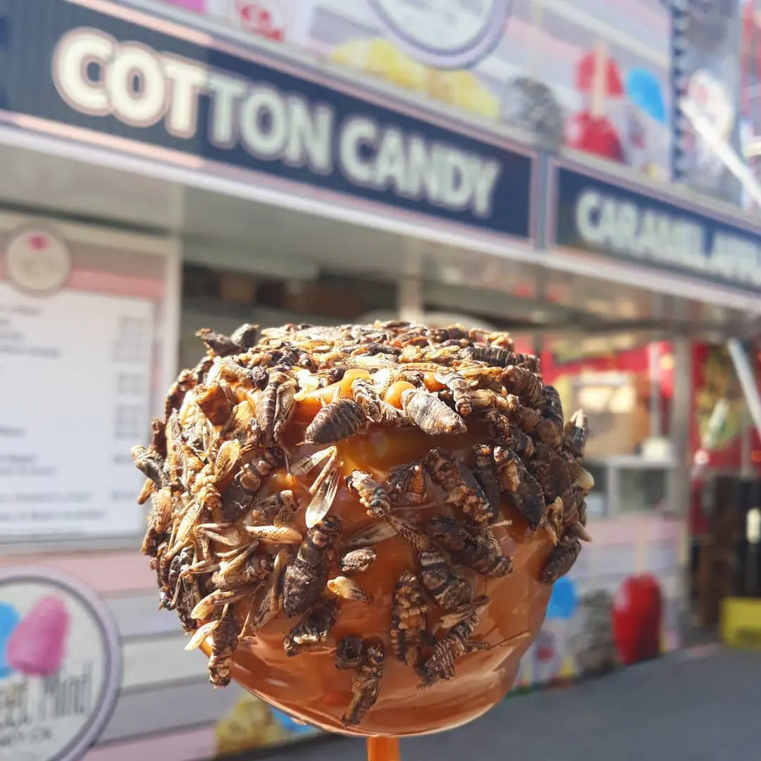 food to try at the PNE 2018