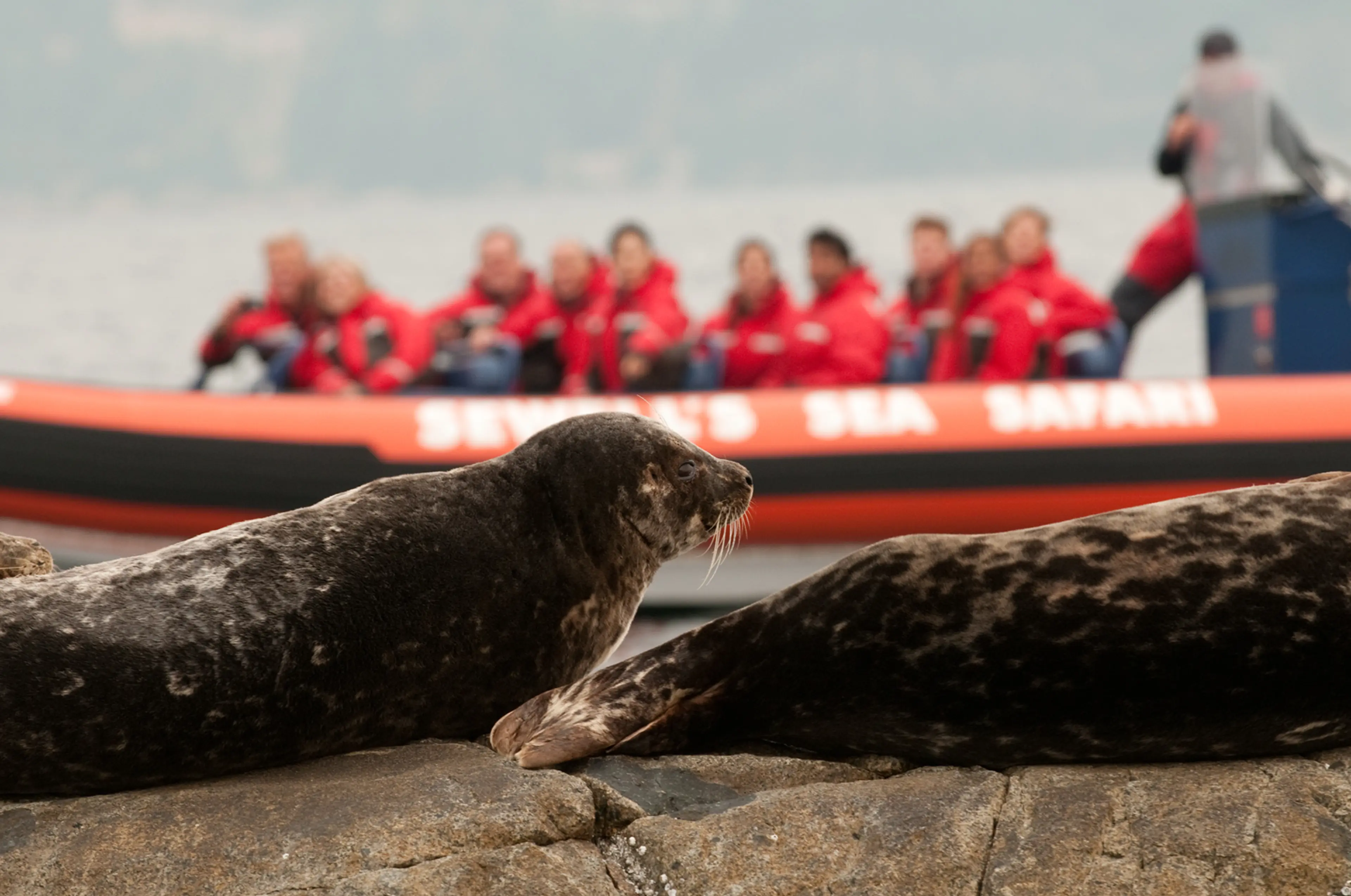 8 Ways to Celebrate UN World Wildlife Day in Vancouver