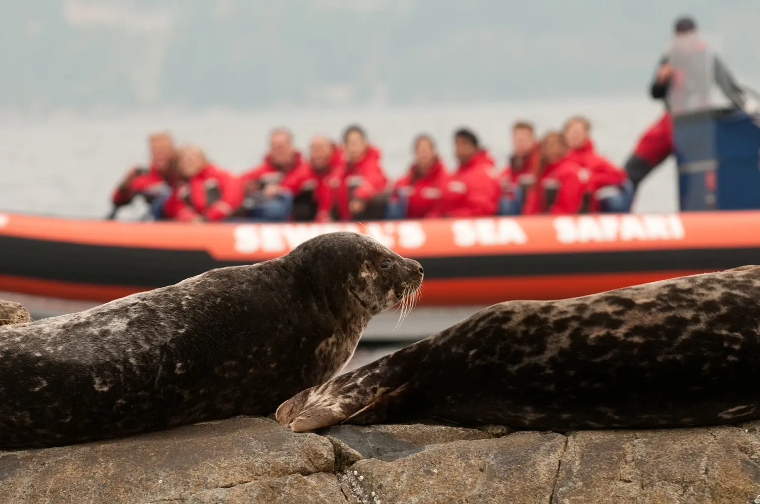 8 Ways to Celebrate UN World Wildlife Day in Vancouver