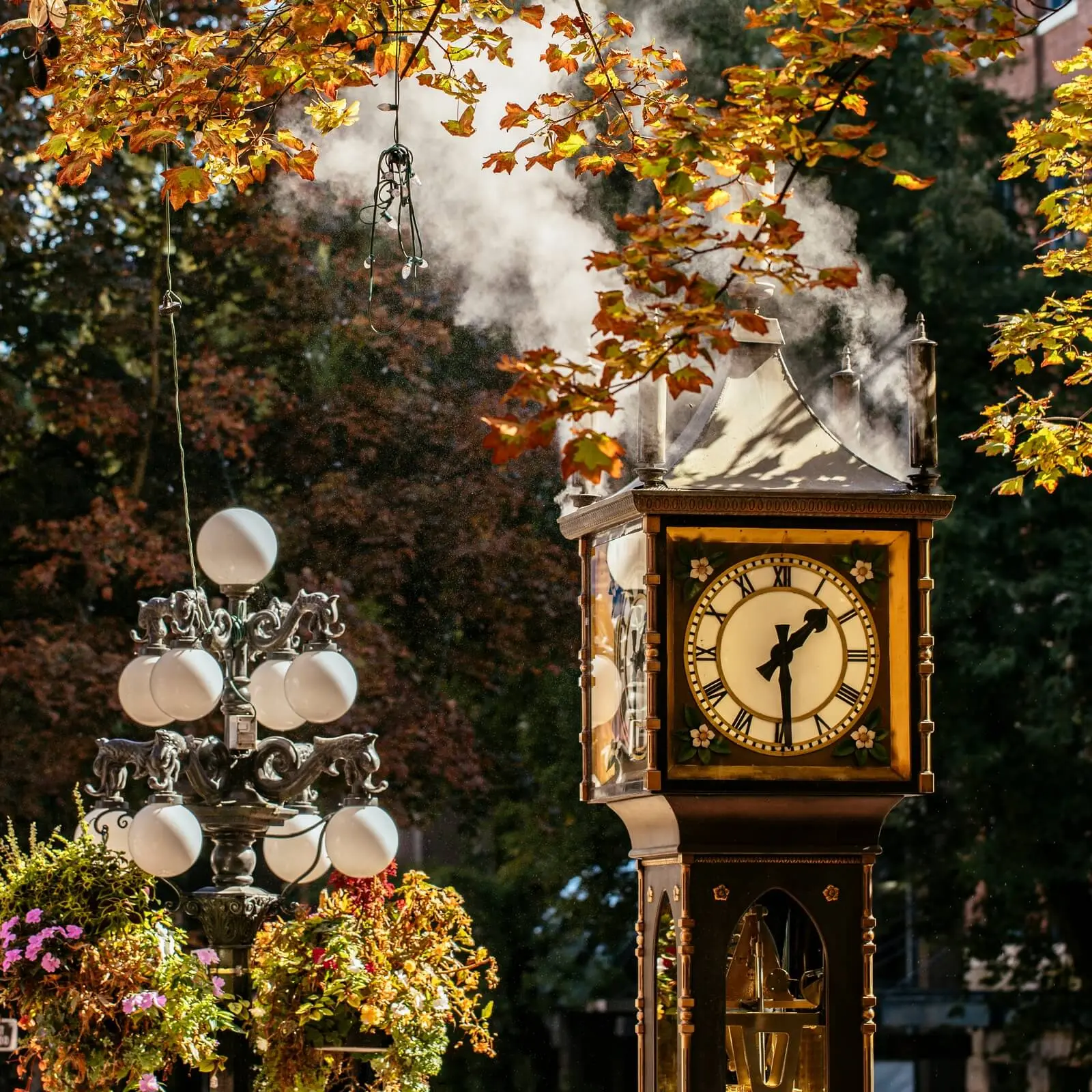 A steam clock releases steam as it stands among autumn-colored trees and hanging flower baskets—a must-see for any Vancouver itinerary. A decorative street lamp with globes glows gently under the golden leaves.