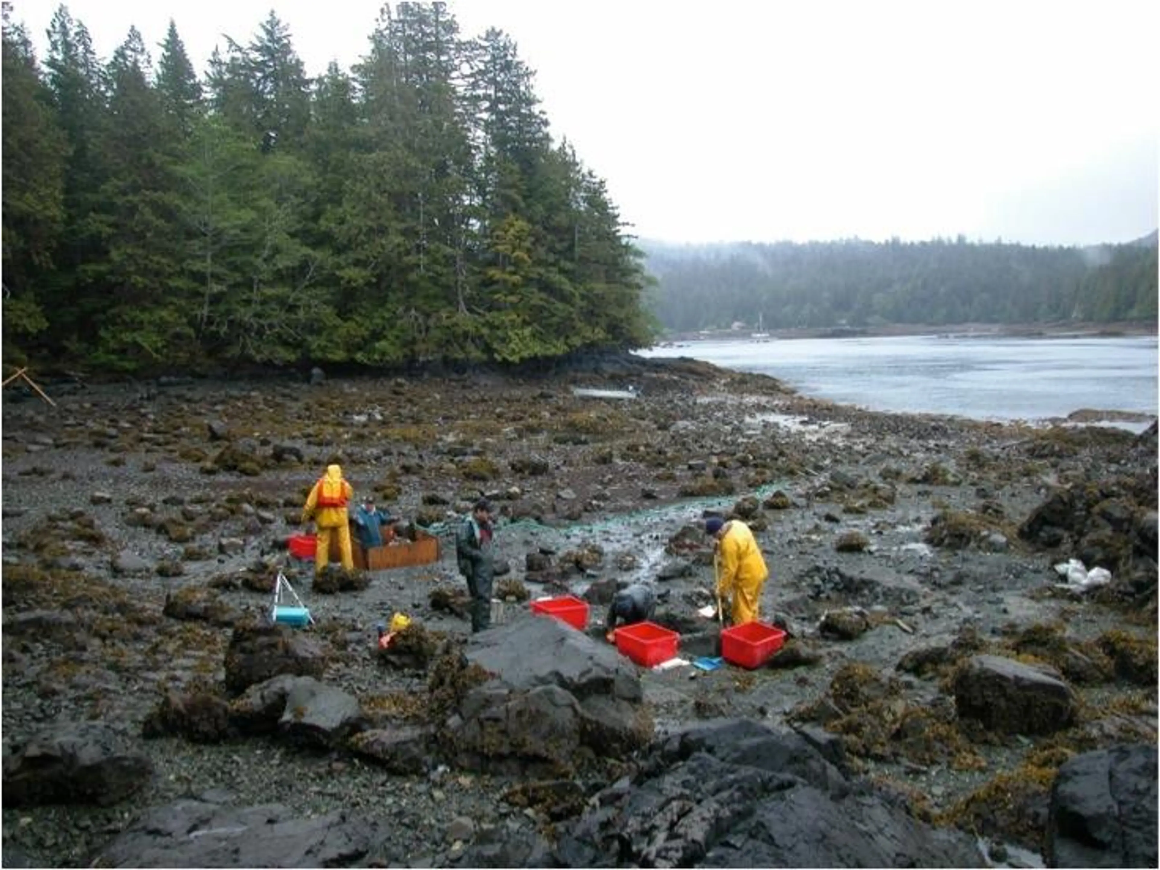 Gwaii Haanas Archaeologist Talk