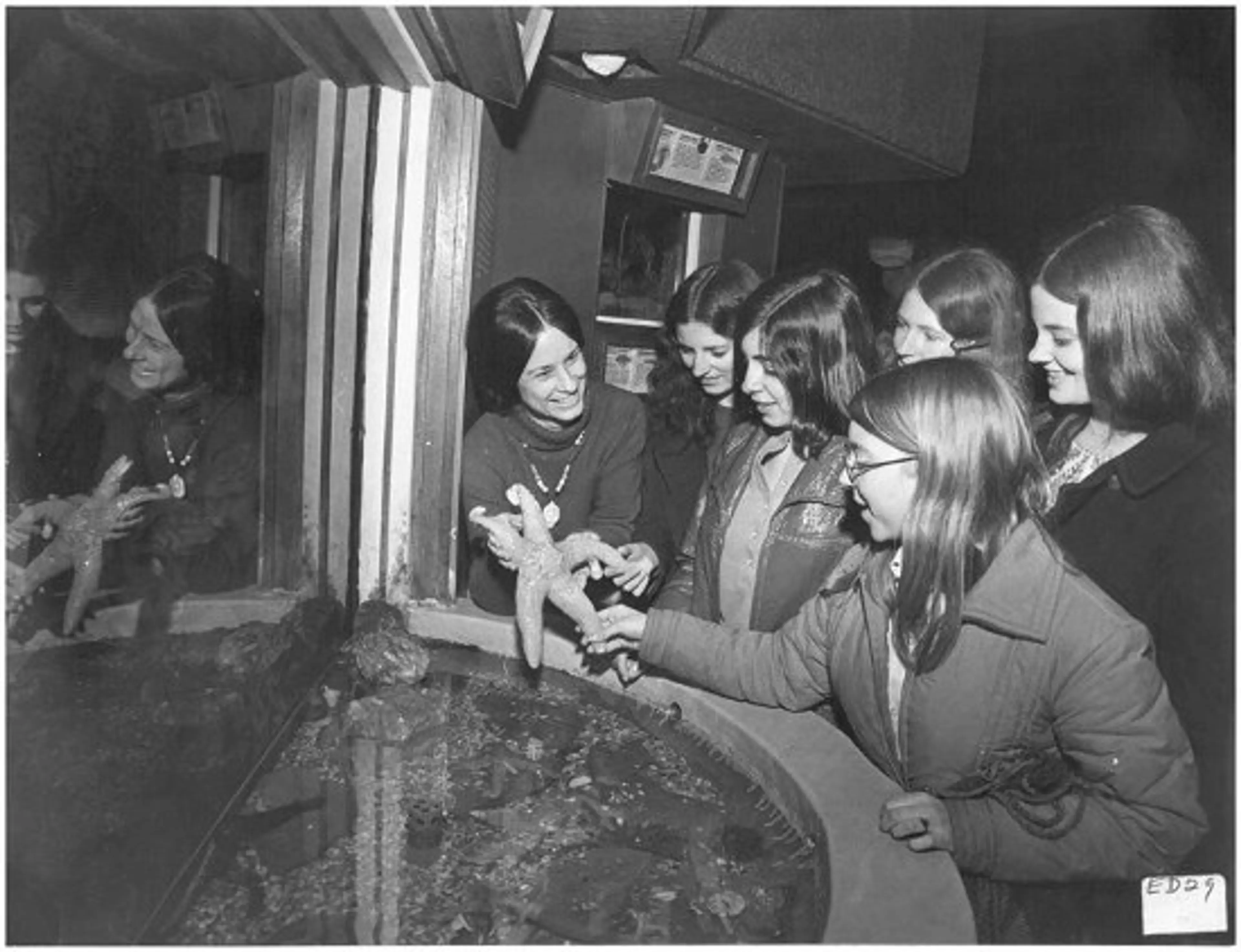 Students and visitors are engaged in hands-on learning, a tradition which continues at the Aquarium today