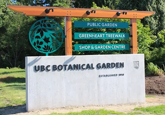 Discover Outdoors Greenheart TreeWalk2