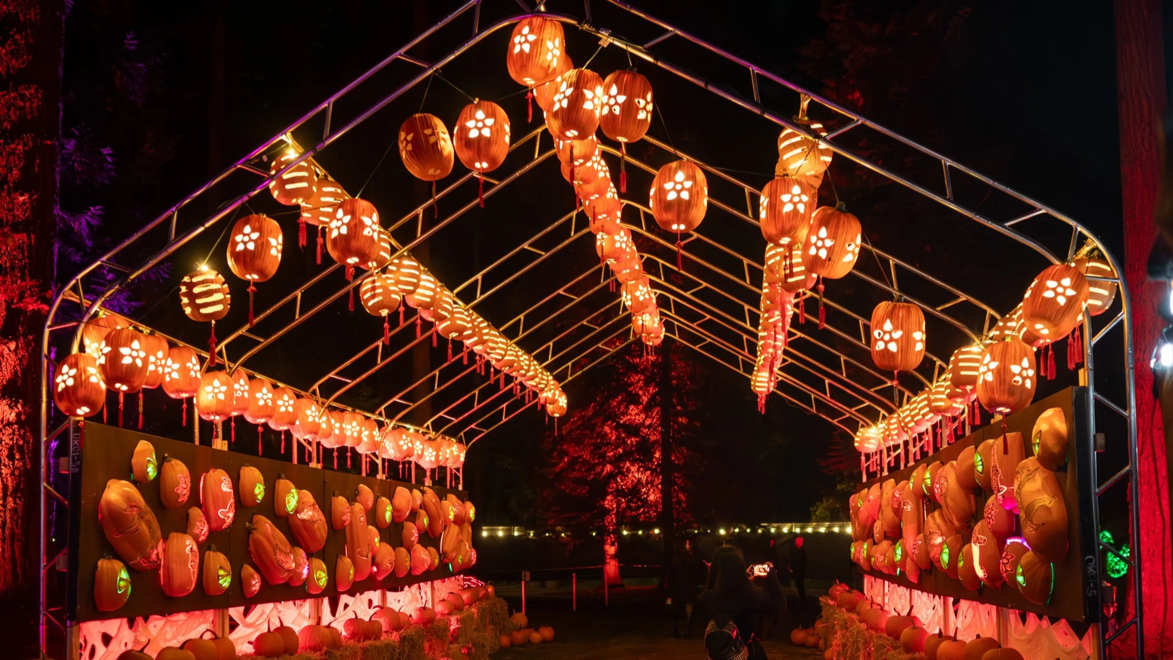 w-2000h-1125-335a1c-2024BHF-170