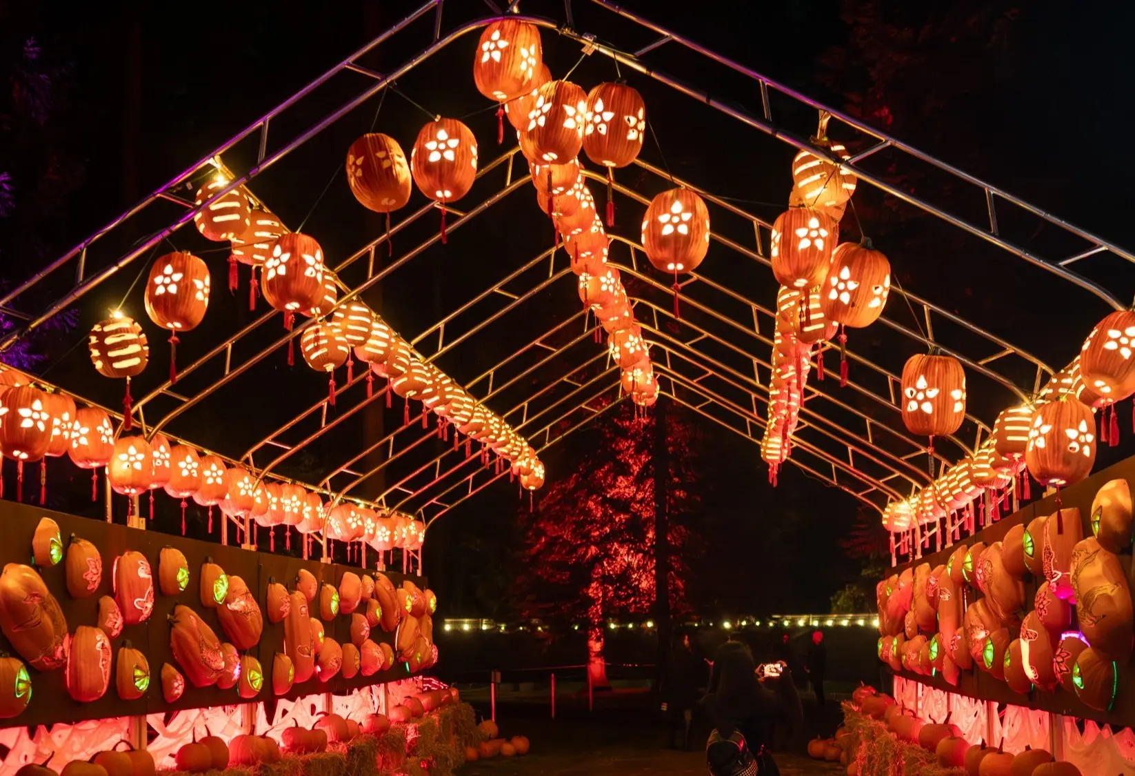 w-2000h-1125-335a1c-2024BHF-170