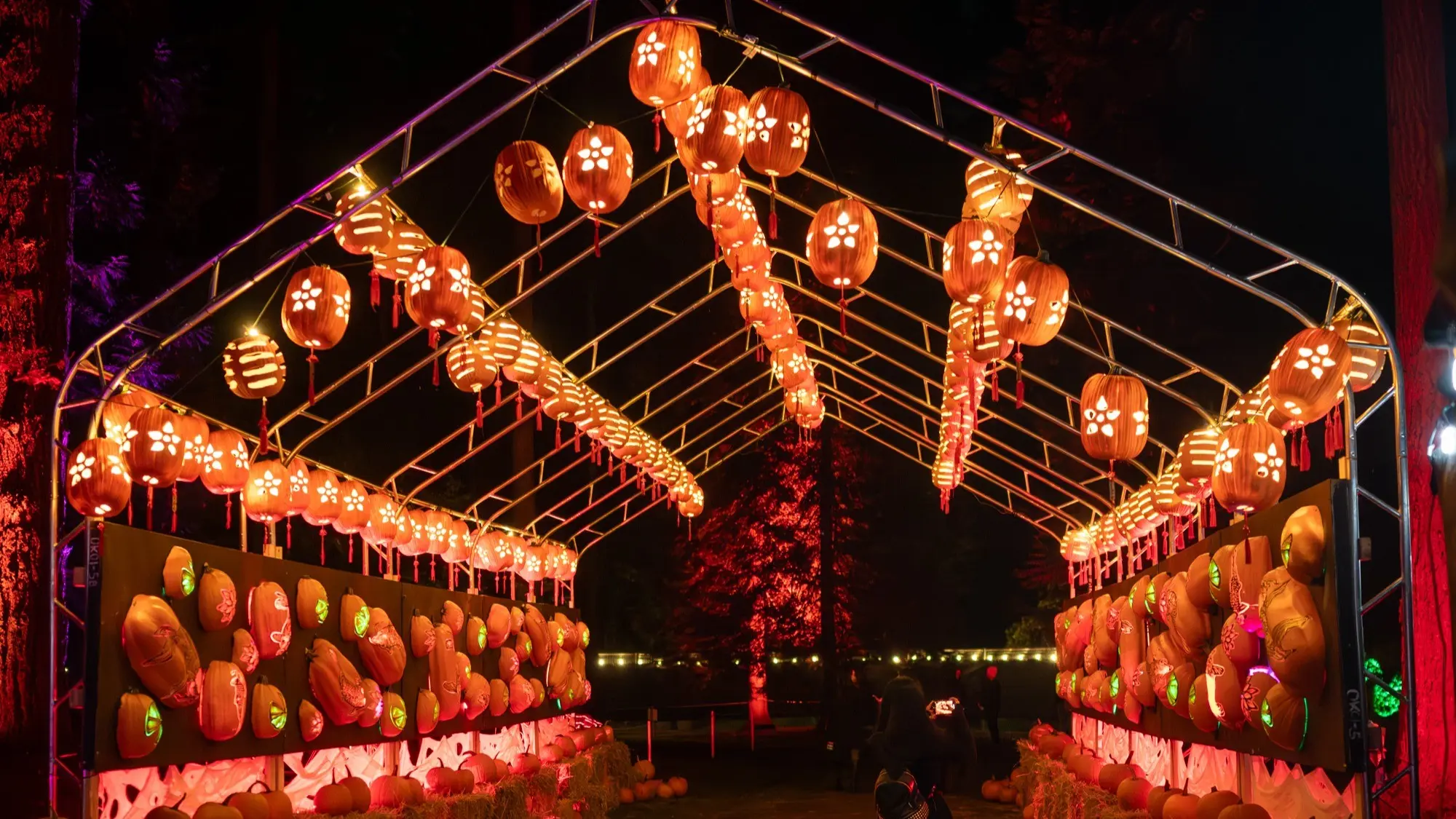 w-2000h-1125-335a1c-2024BHF-170