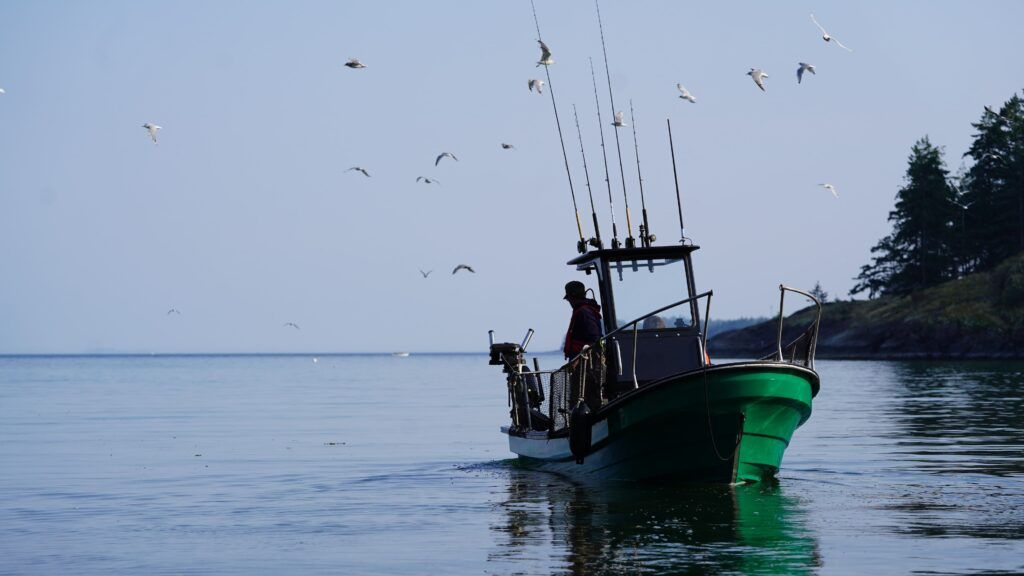 fishing-charters-campbell-river-ocean-fish-seagulls-1024x576_AEECA8A3-B098-DC6D-AD2CE8A928C38CD6-aeeca656a1840a7_aeed2a23-f92d-4456-3cff8356aa8fc825