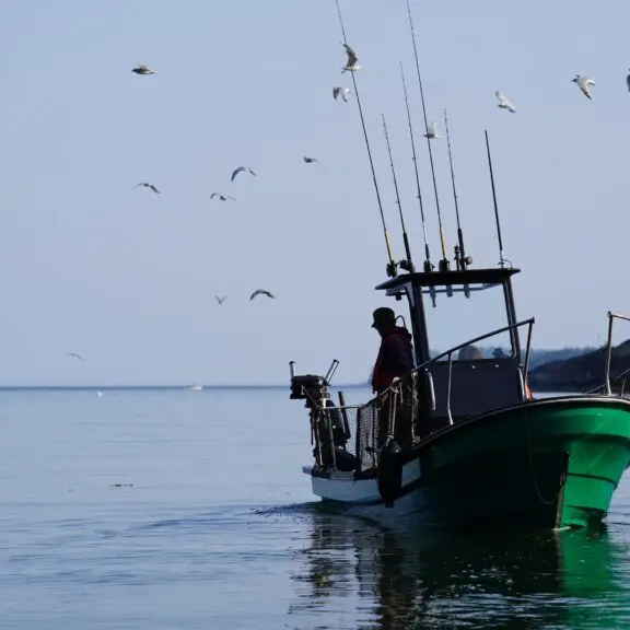 fishing-charters-campbell-river-ocean-fish-seagulls-1024x576_AEECA8A3-B098-DC6D-AD2CE8A928C38CD6-aeeca656a1840a7_aeed2a23-f92d-4456-3cff8356aa8fc825