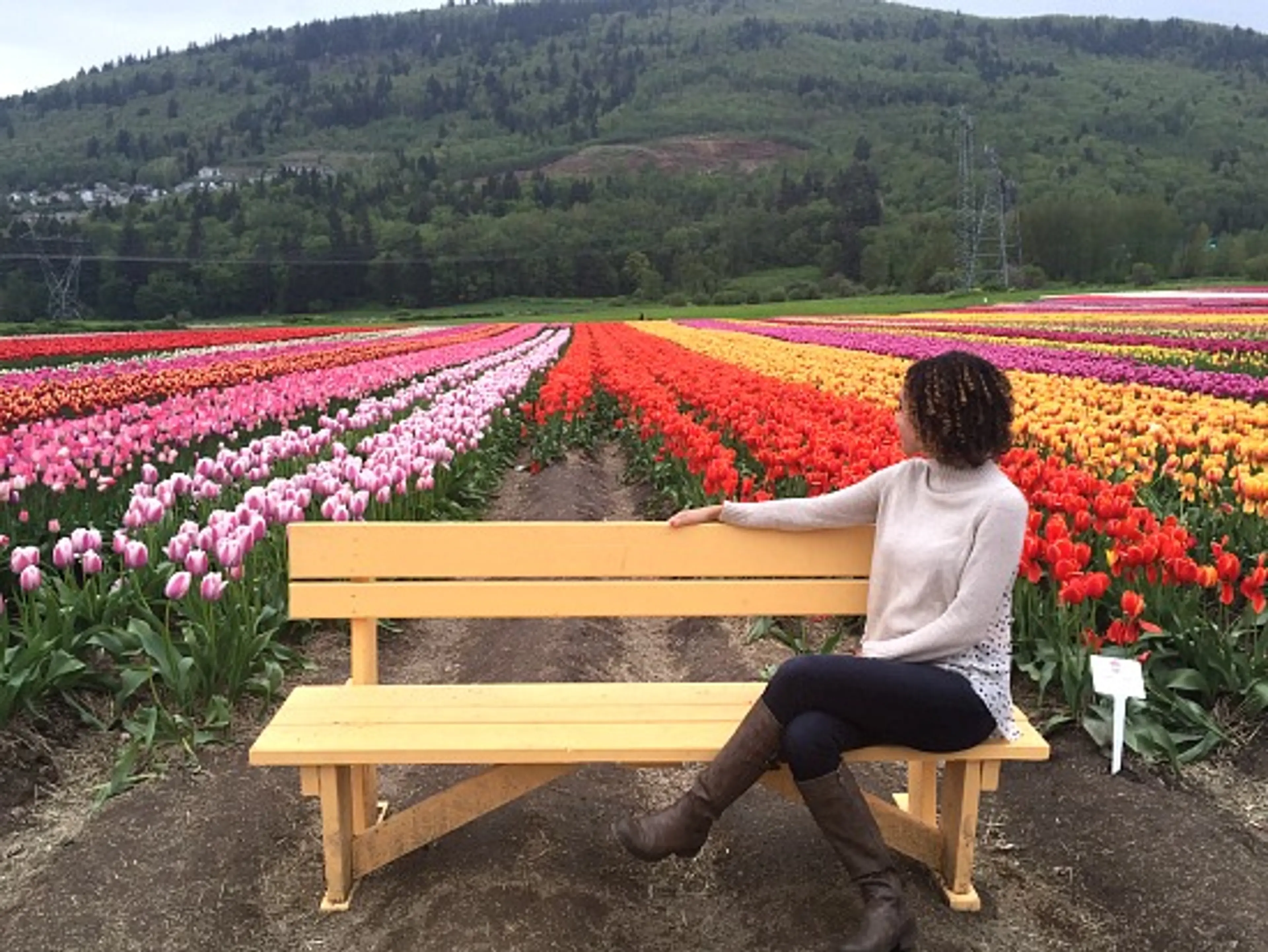 Abbotsford Tulip Festival | Photo: Bianca Bujan