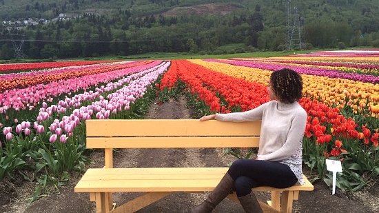 Abbotsford Tulip Festival | Photo: Bianca Bujan