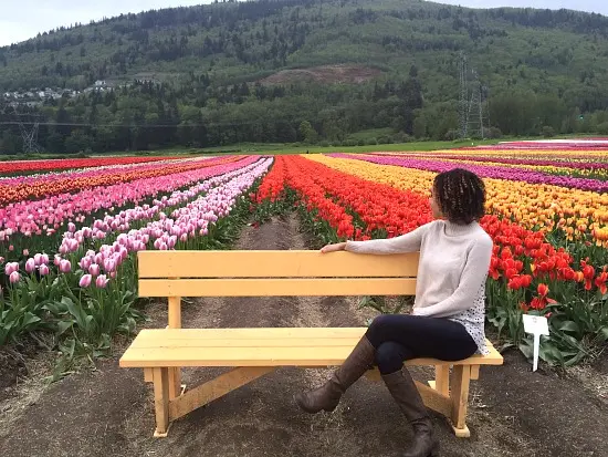 Abbotsford Tulip Festival | Photo: Bianca Bujan