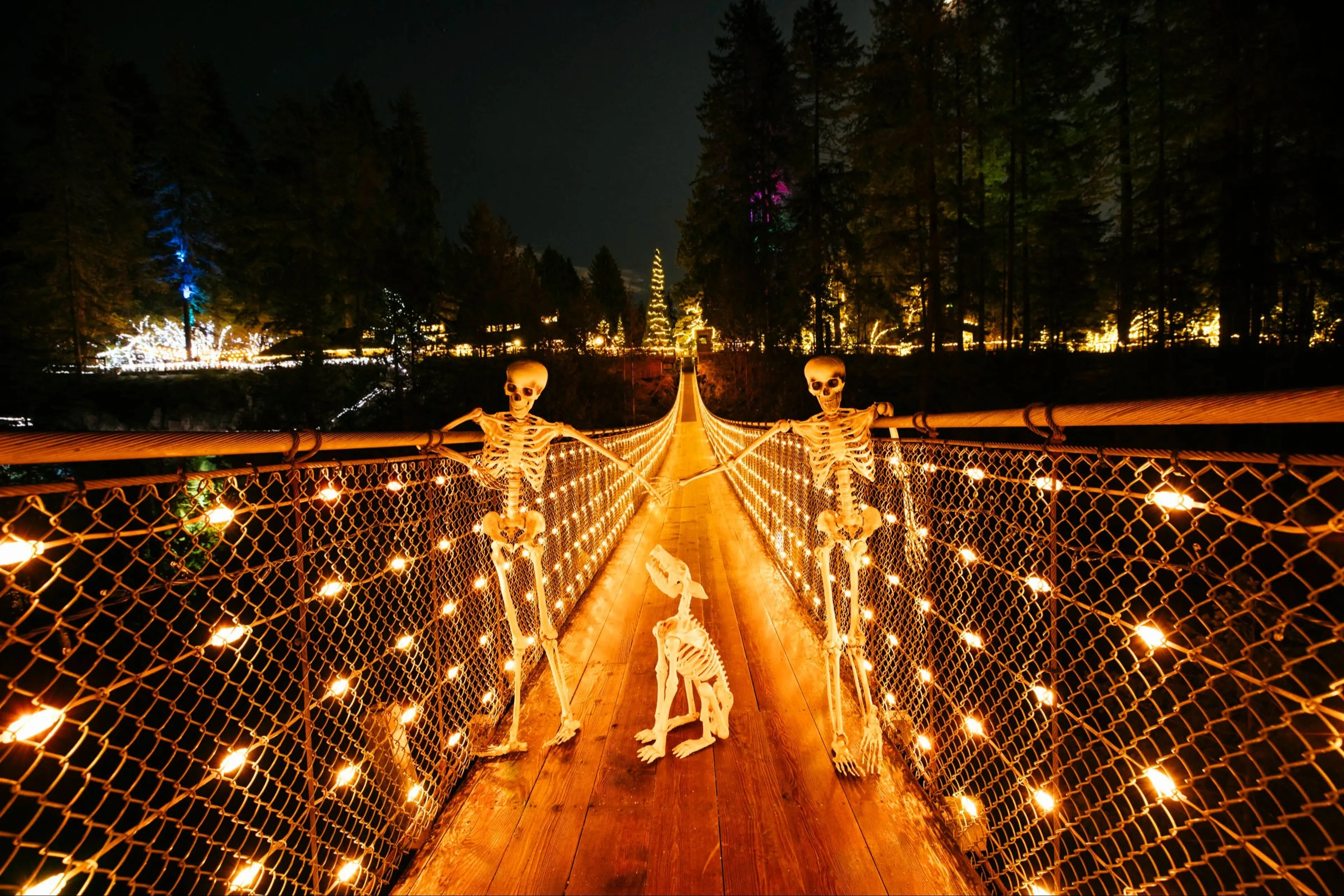 Two skeletons leaning on the railings of a lit suspension bridge at night with a skeleton dog sitting between them.