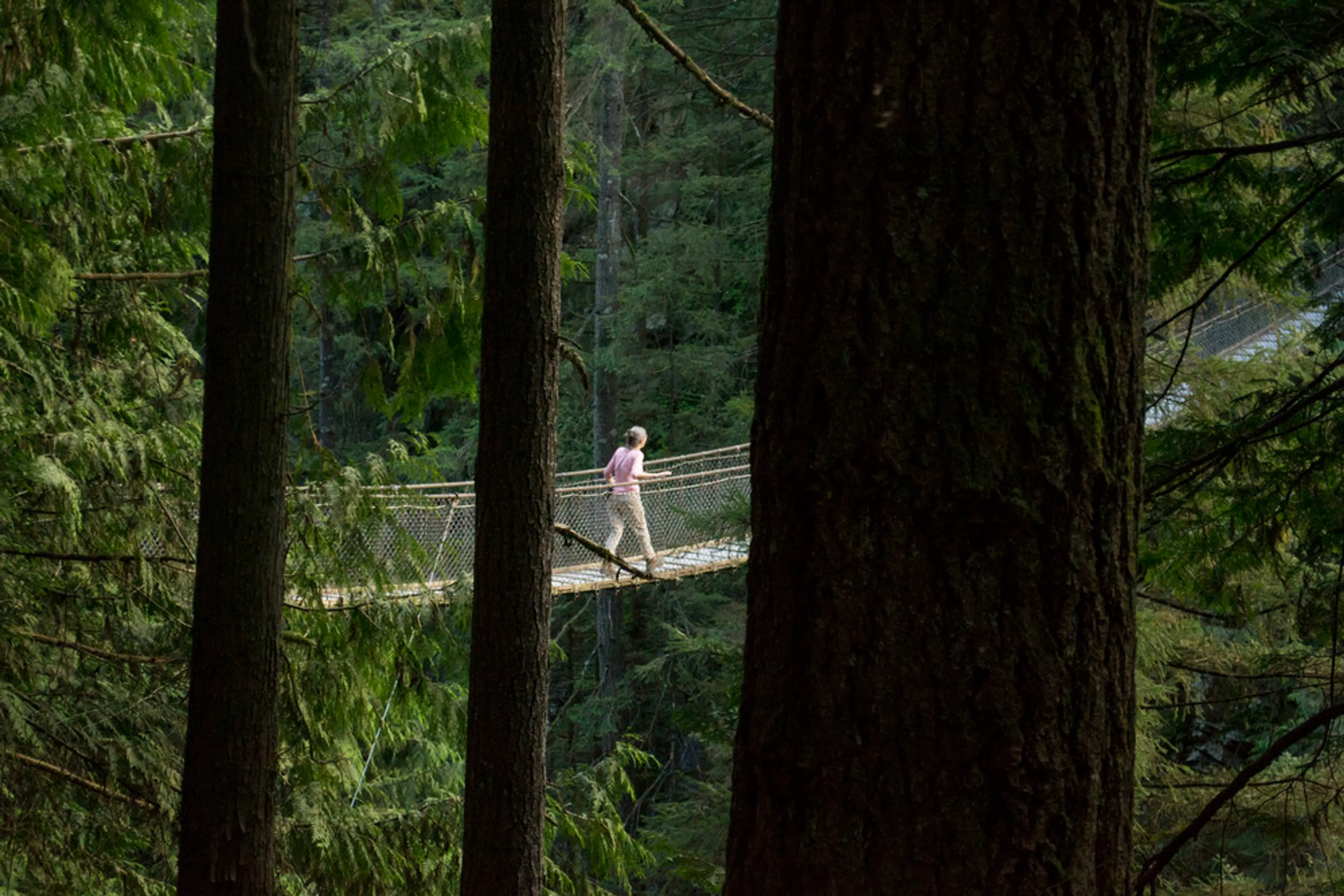 Lynn Canyon Bridge