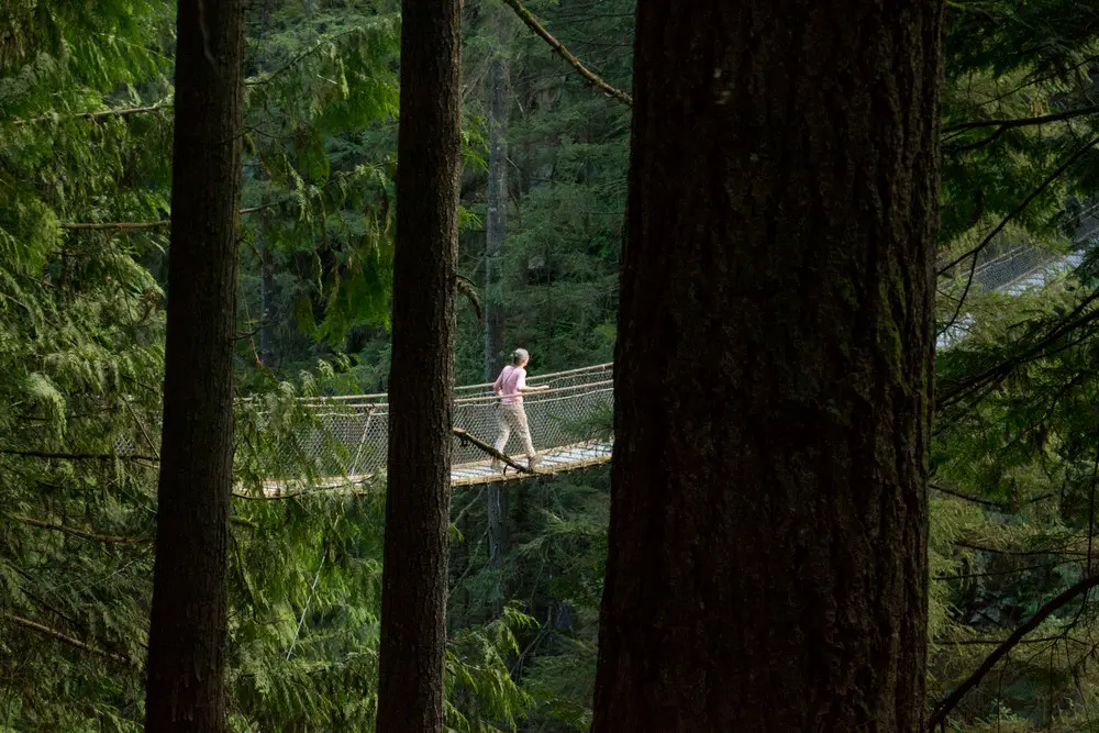 Lynn Canyon Bridge