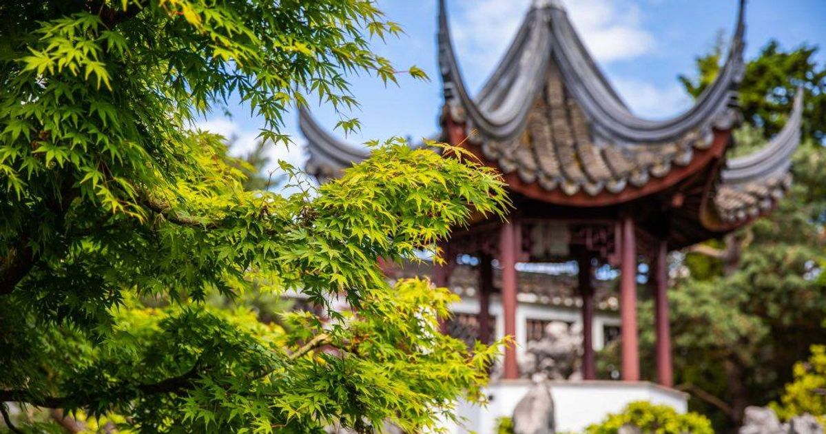Dr. Sun Yat-sen Classical Chinese Garden Activities