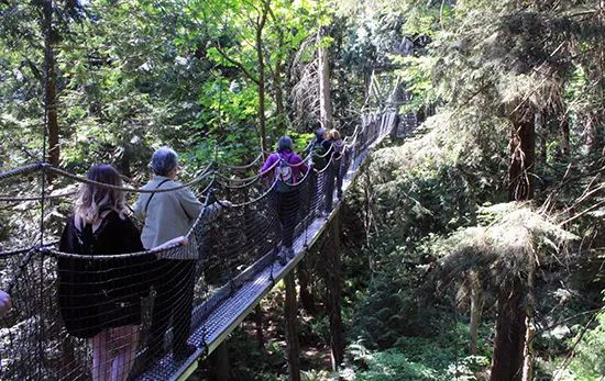 Discover Outdoors Greenheart TreeWalk6