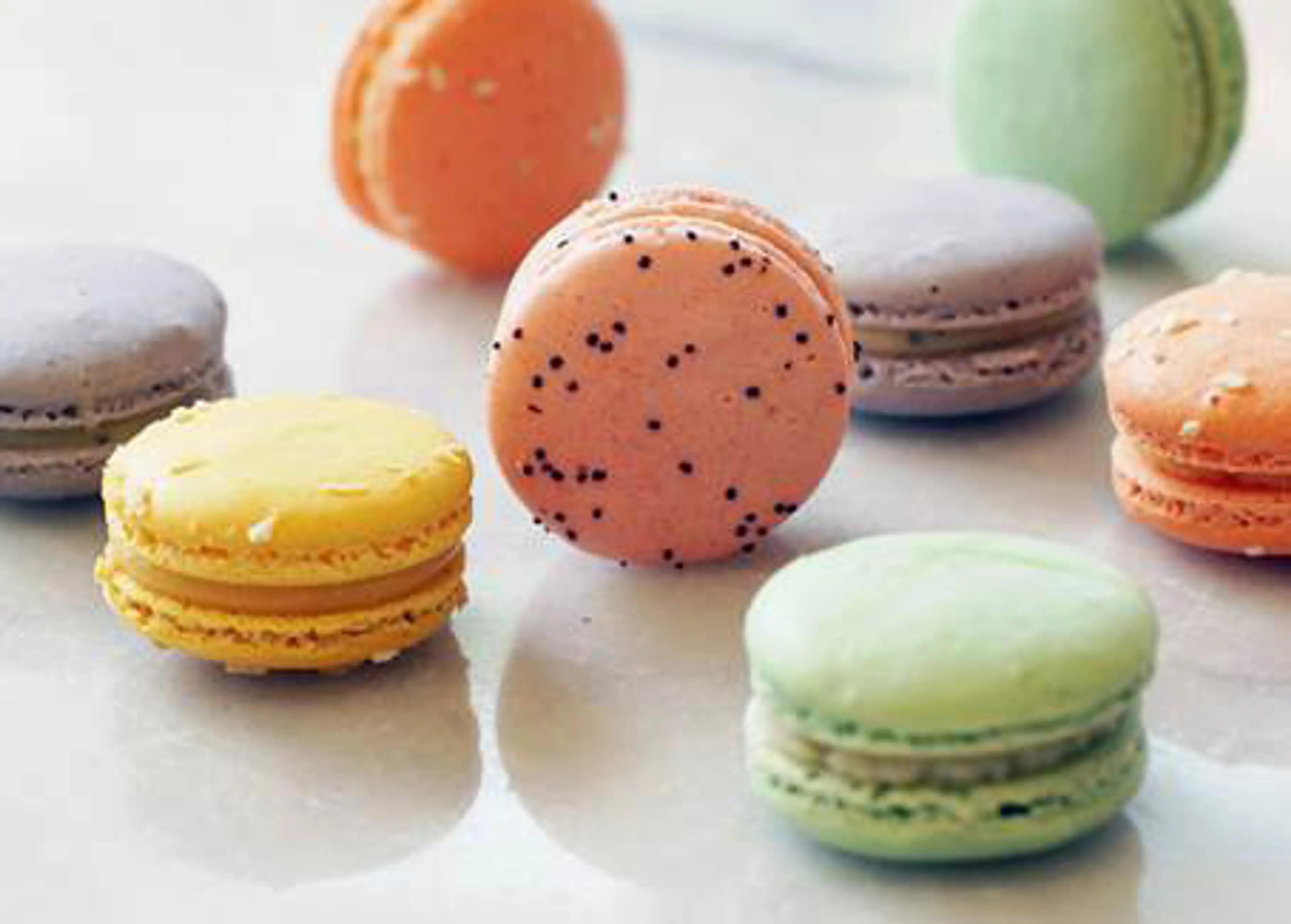 Macaron Day