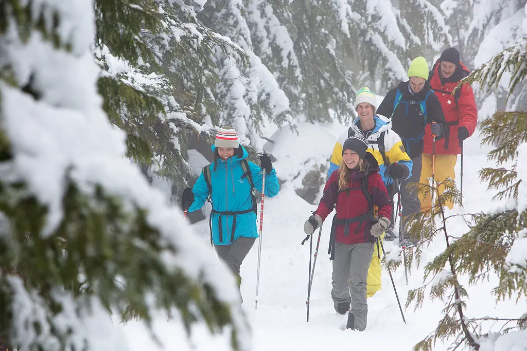 Winter Adventures