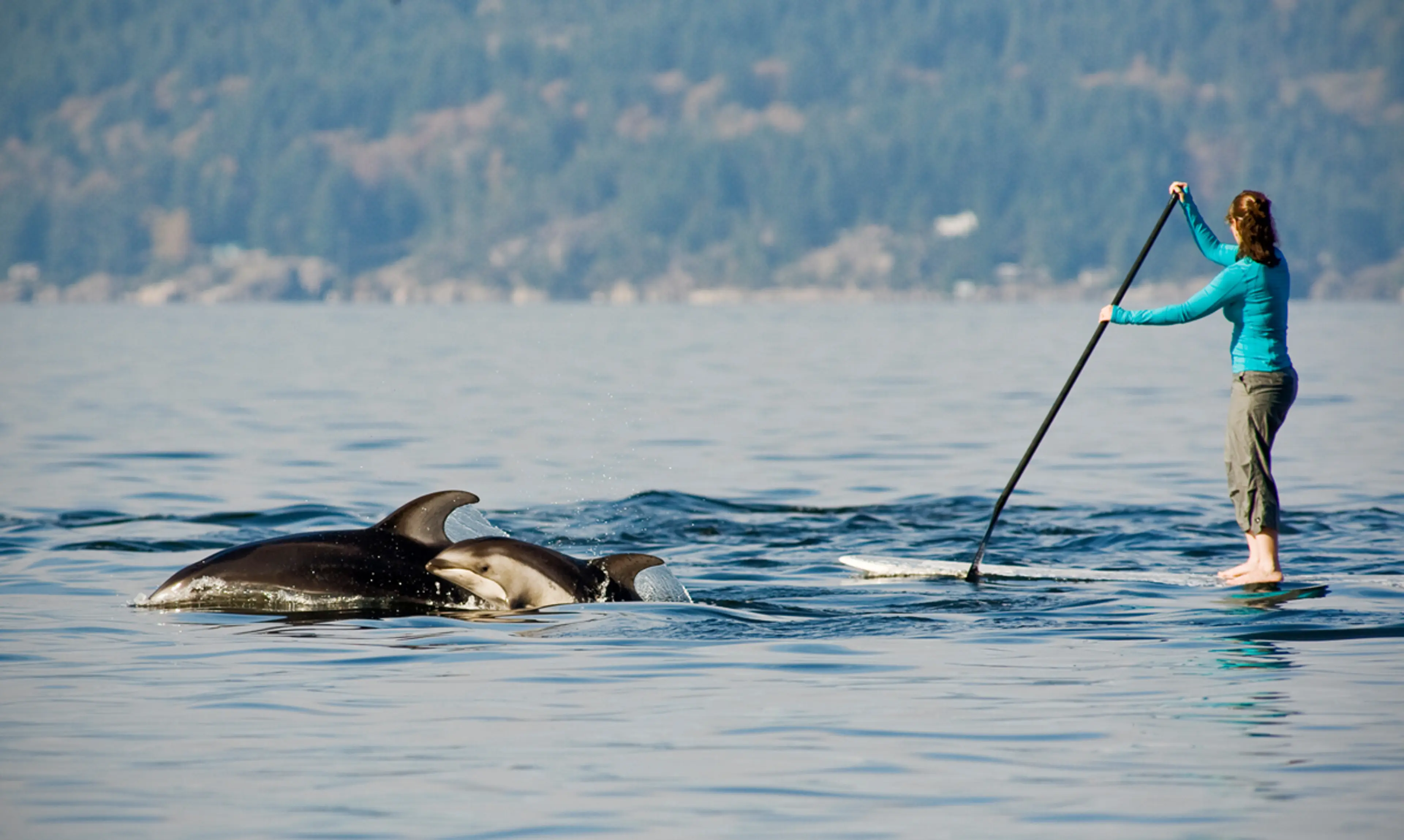 Thrilling Spring Activities for Adventure Seekers