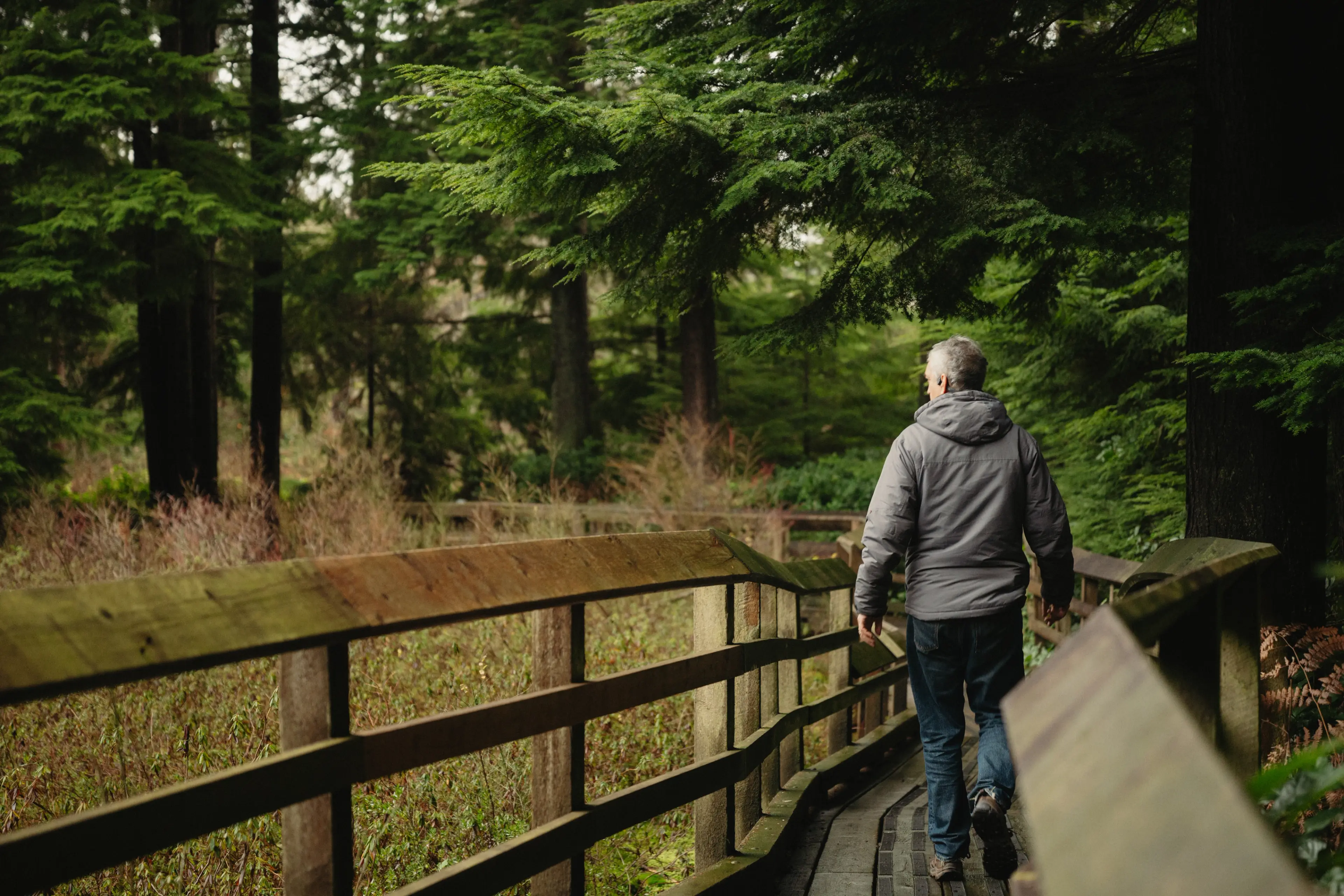 A person walking along a board walk at the Pacific Spirit Park in Vancouver.