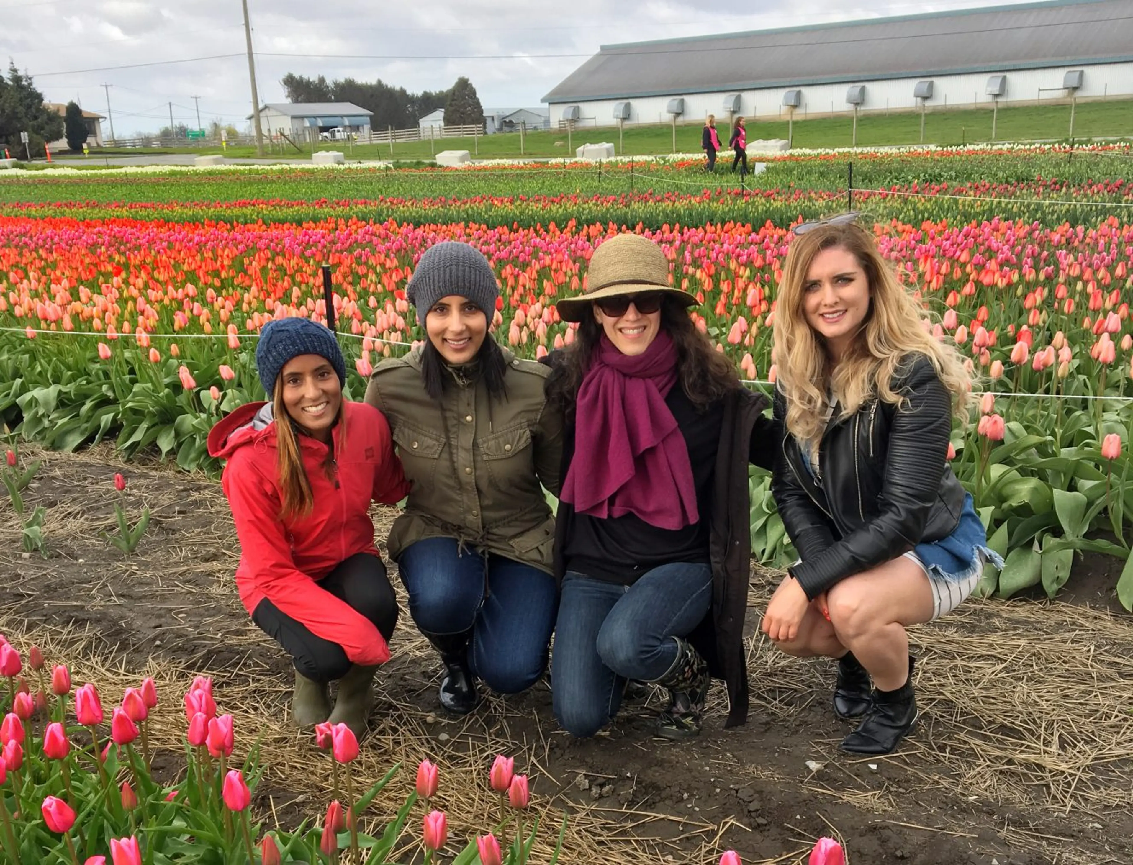 tulips girls day abbotsford bloom