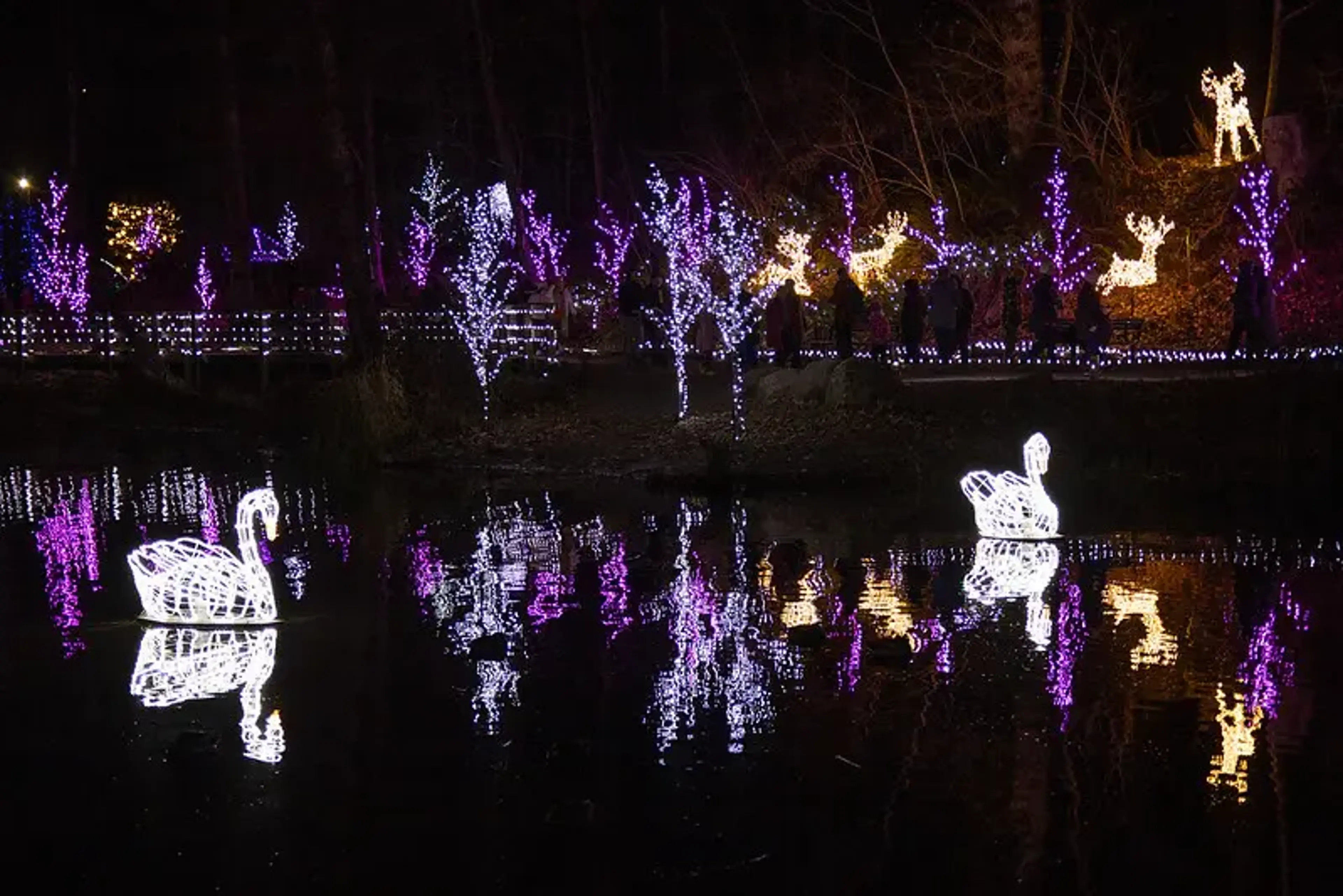 Vancouver Christmas Tree Lighting at Vancouver Art Gallery