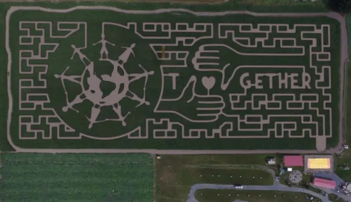 Aerial shot of the 2020 Chilliwack Corn Maze near Vancouver
