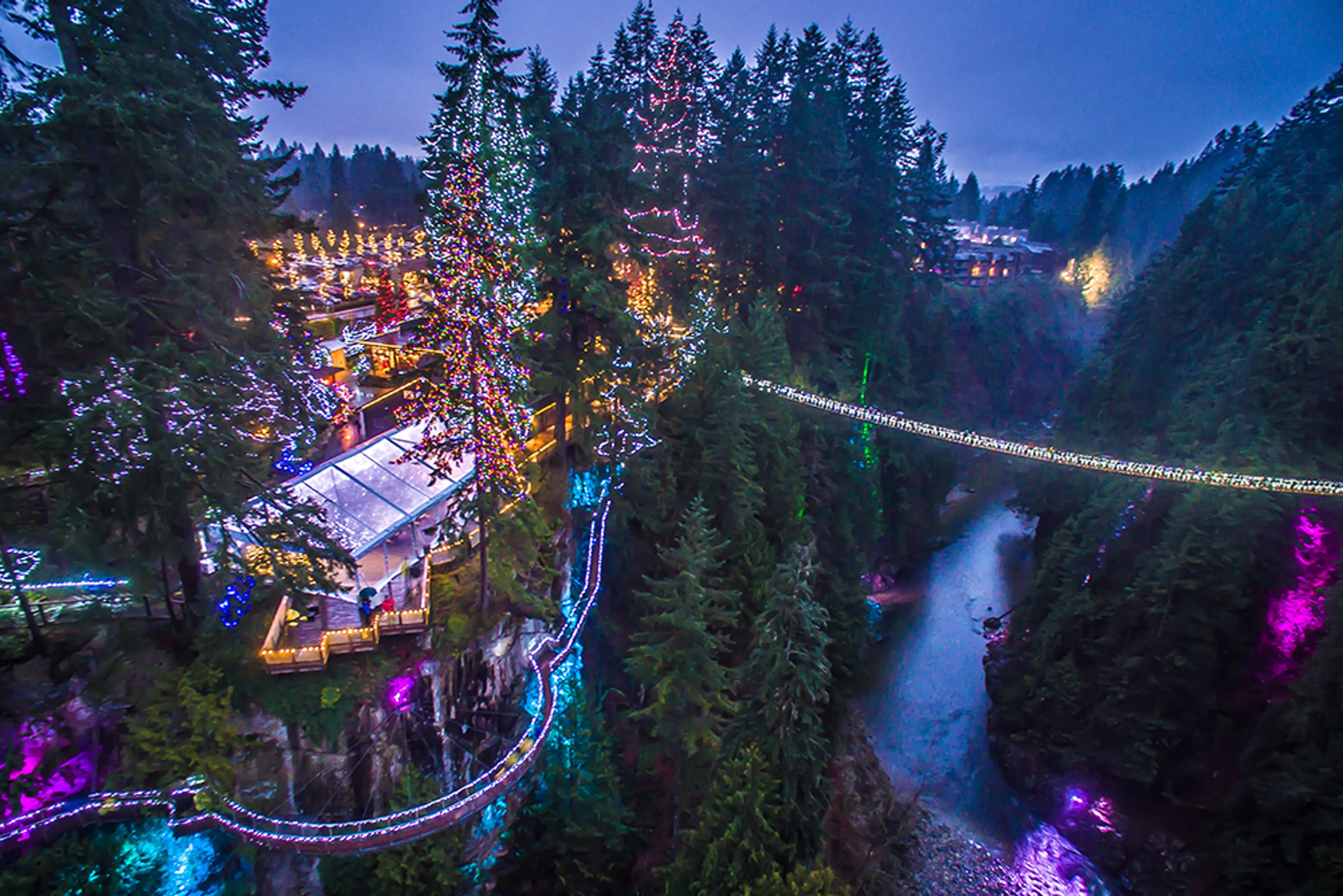 Canyon Lights