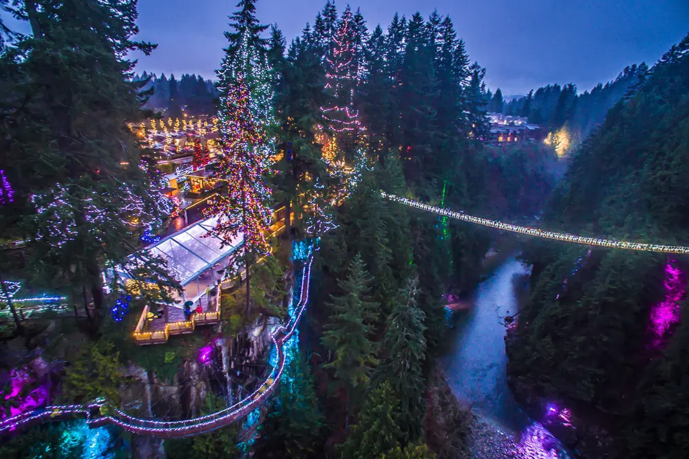 Canyon Lights at Capilano Suspension Bridge Makes the North Shore Shine