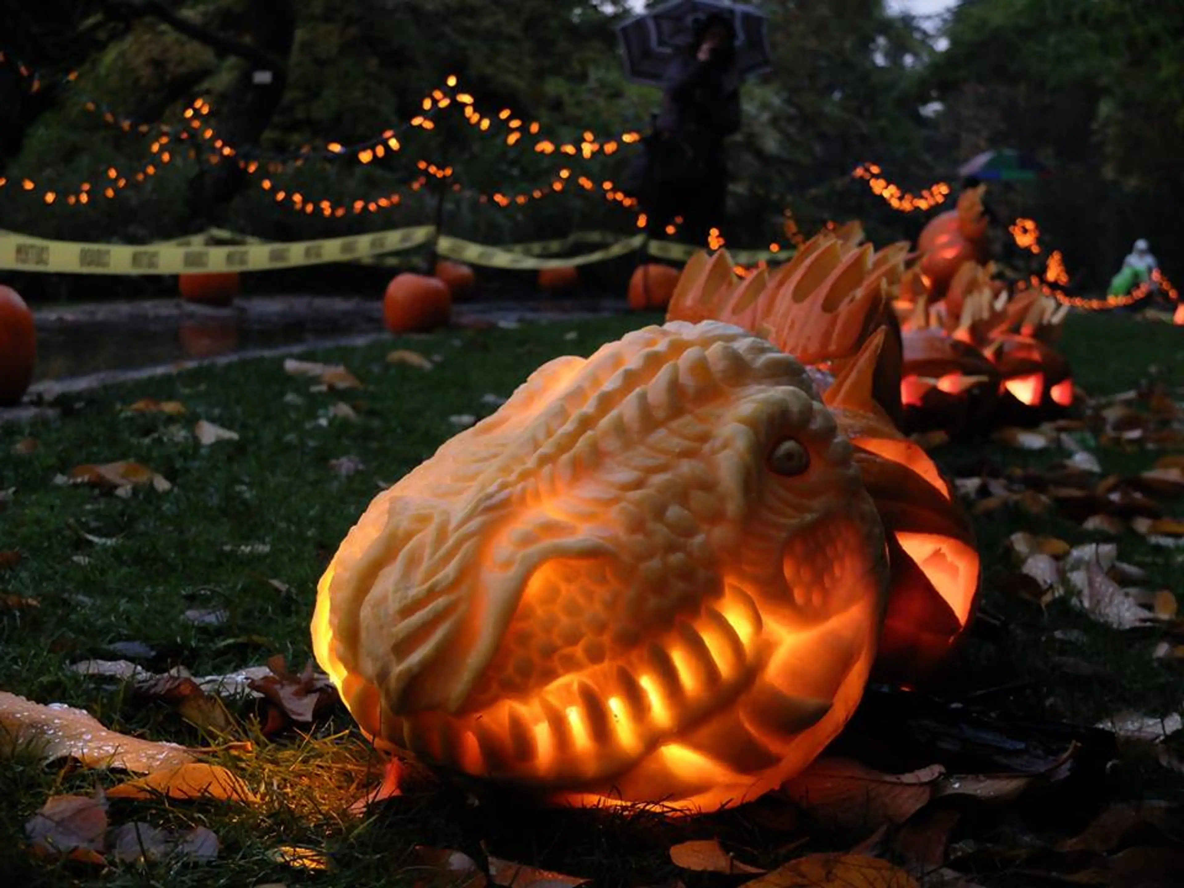 Get your autumn glow on at VanDusen Glow in the Garden October 17-27