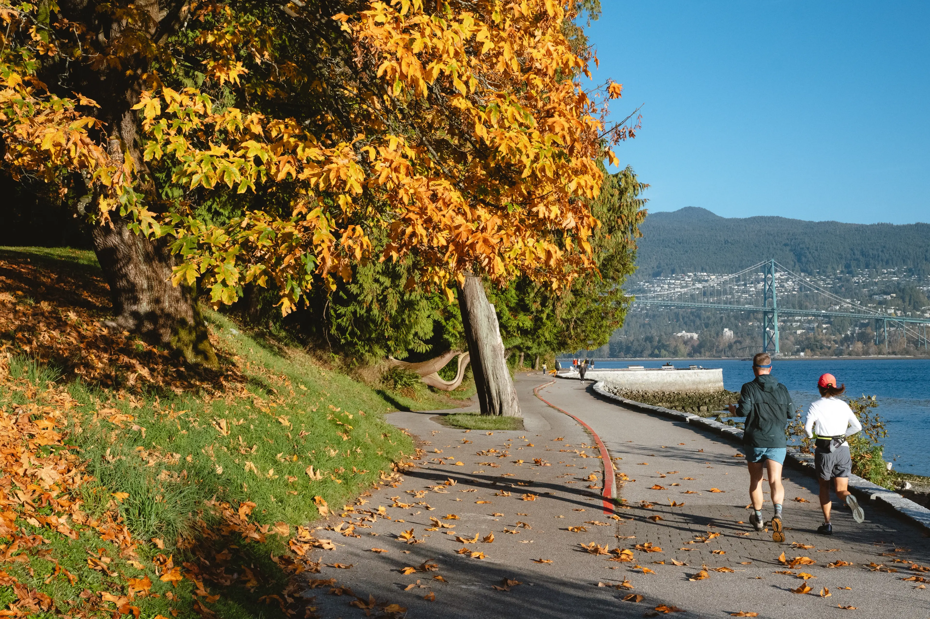 Two people jogging on a leaf-strewn path beside water with a bridge and forested hills in the background under a clear blue sky.