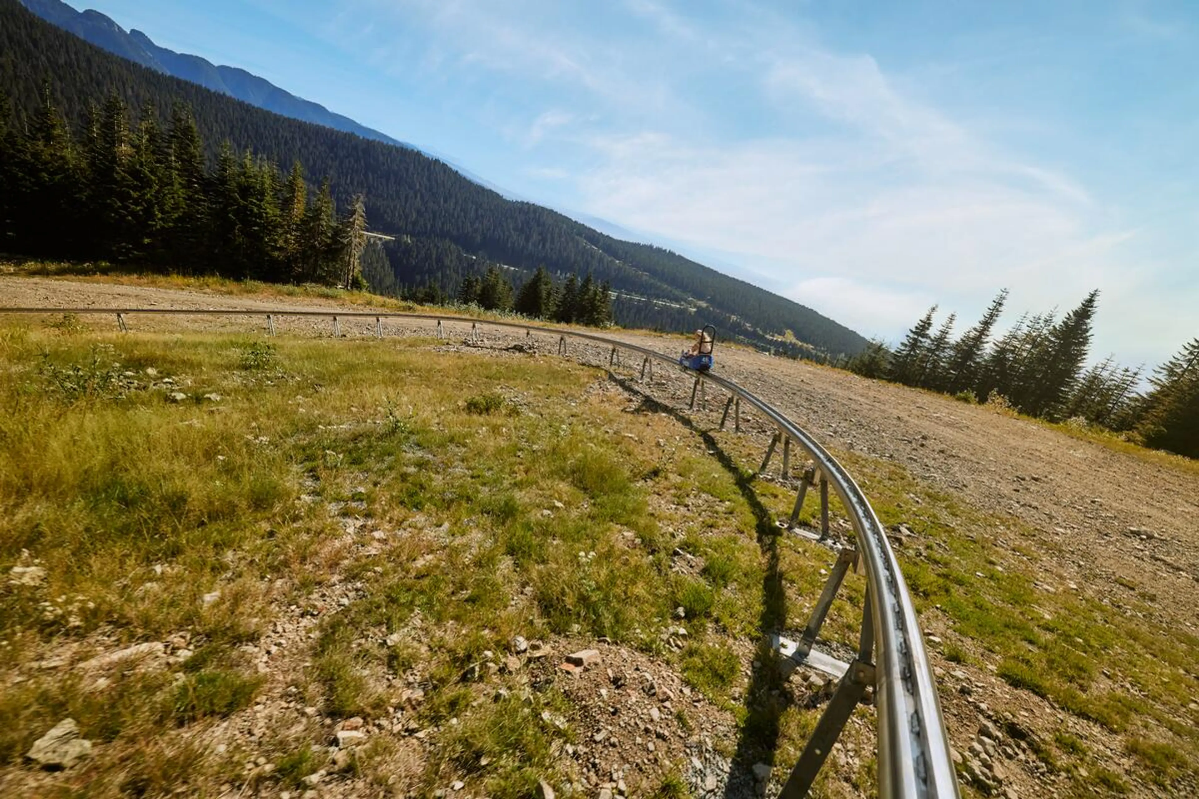 Person riding a single-seat alpine coaster on a curved metal track in a mountainous area with trees and grass.