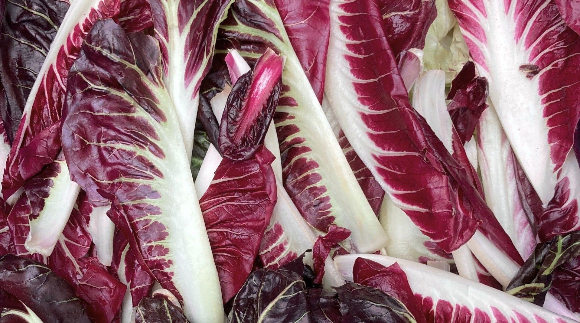 w-1918h-1068-bc1a57-bf header 1