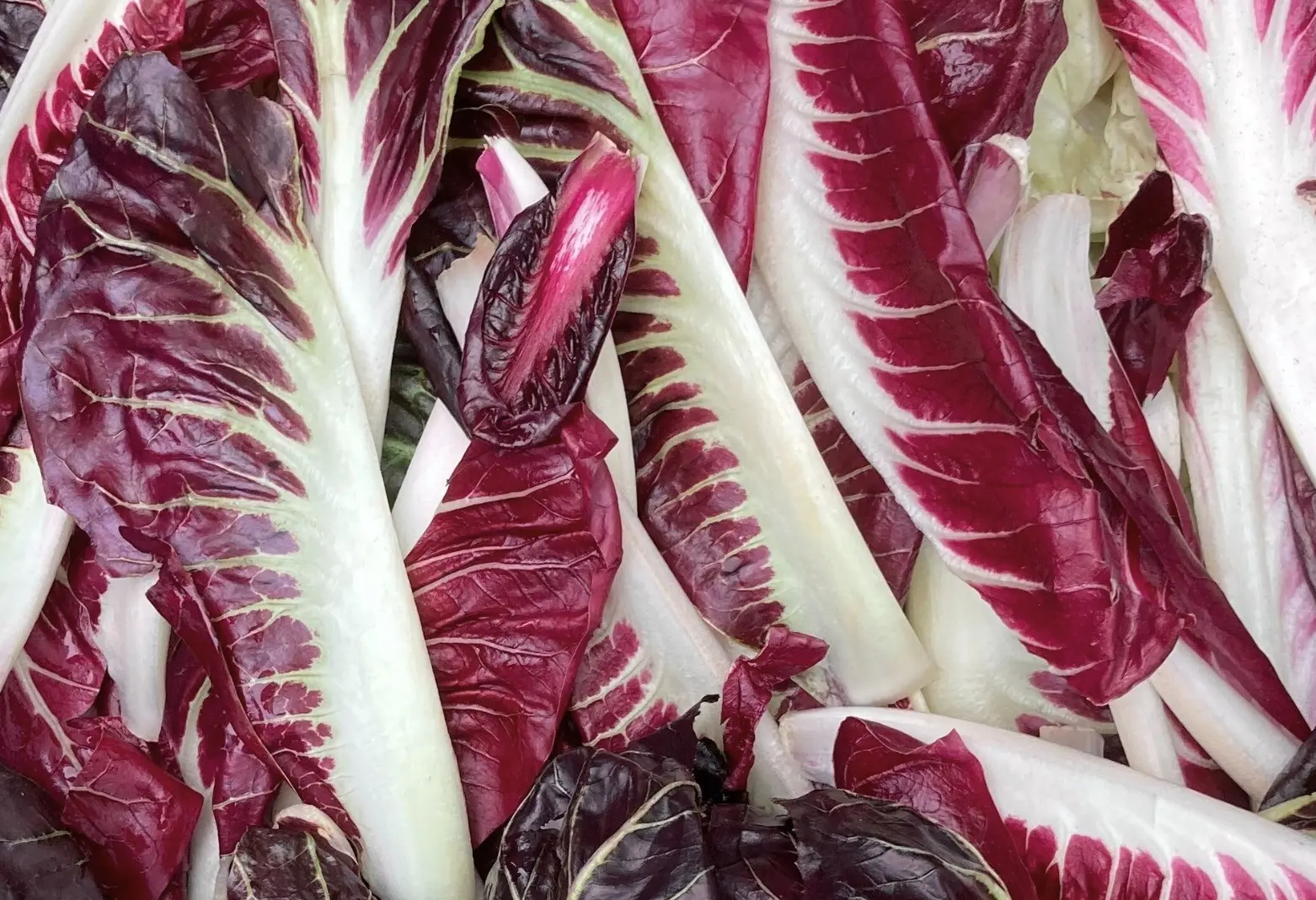 w-1918h-1068-bc1a57-bf header 1