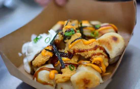 Teriyaki Chicken Perogies