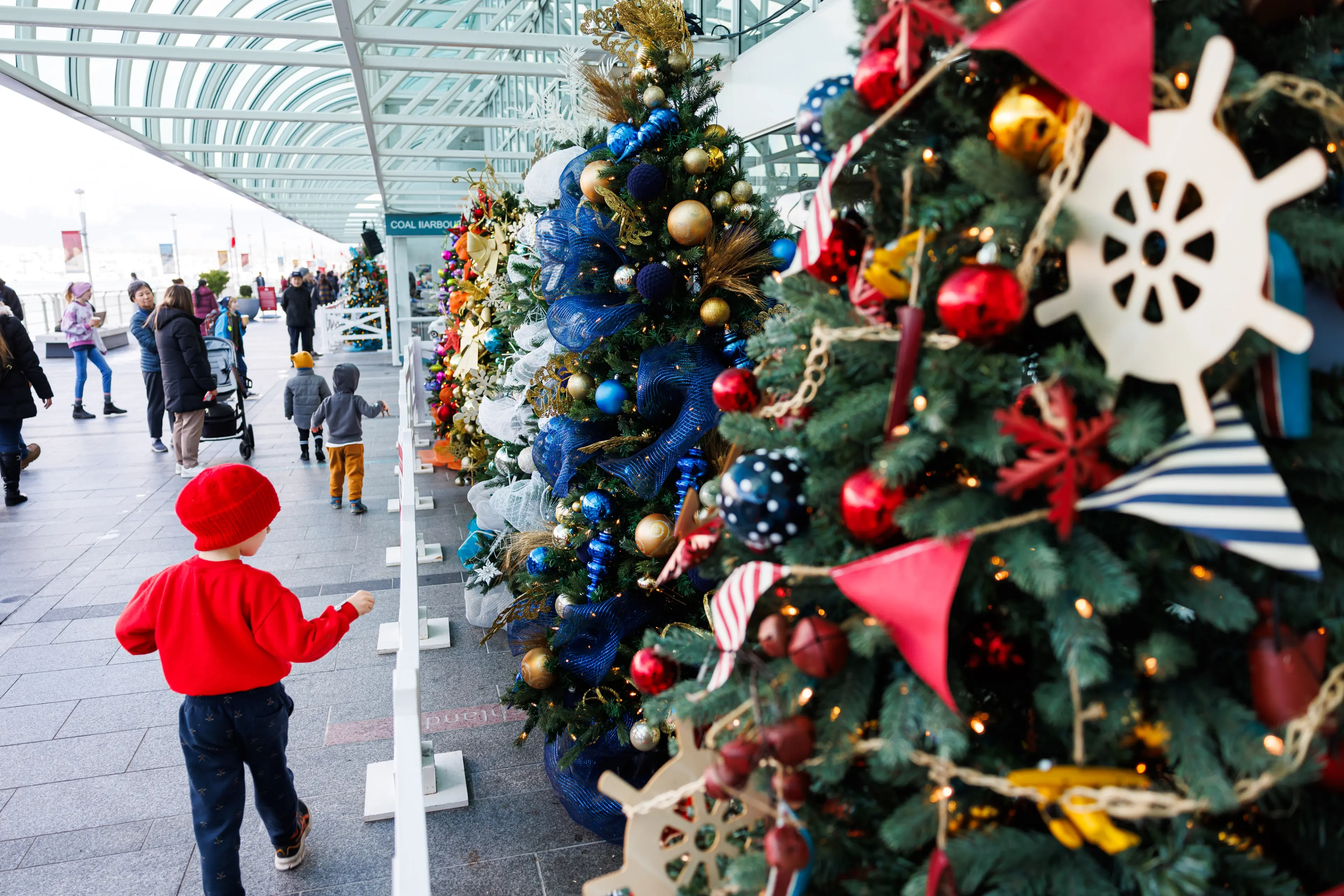 Avenue of Trees at Canada Place