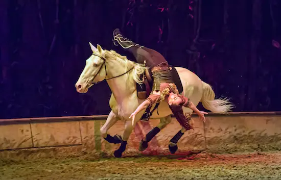 Odysseo – ‘the best show ever’ comes to Vancouver