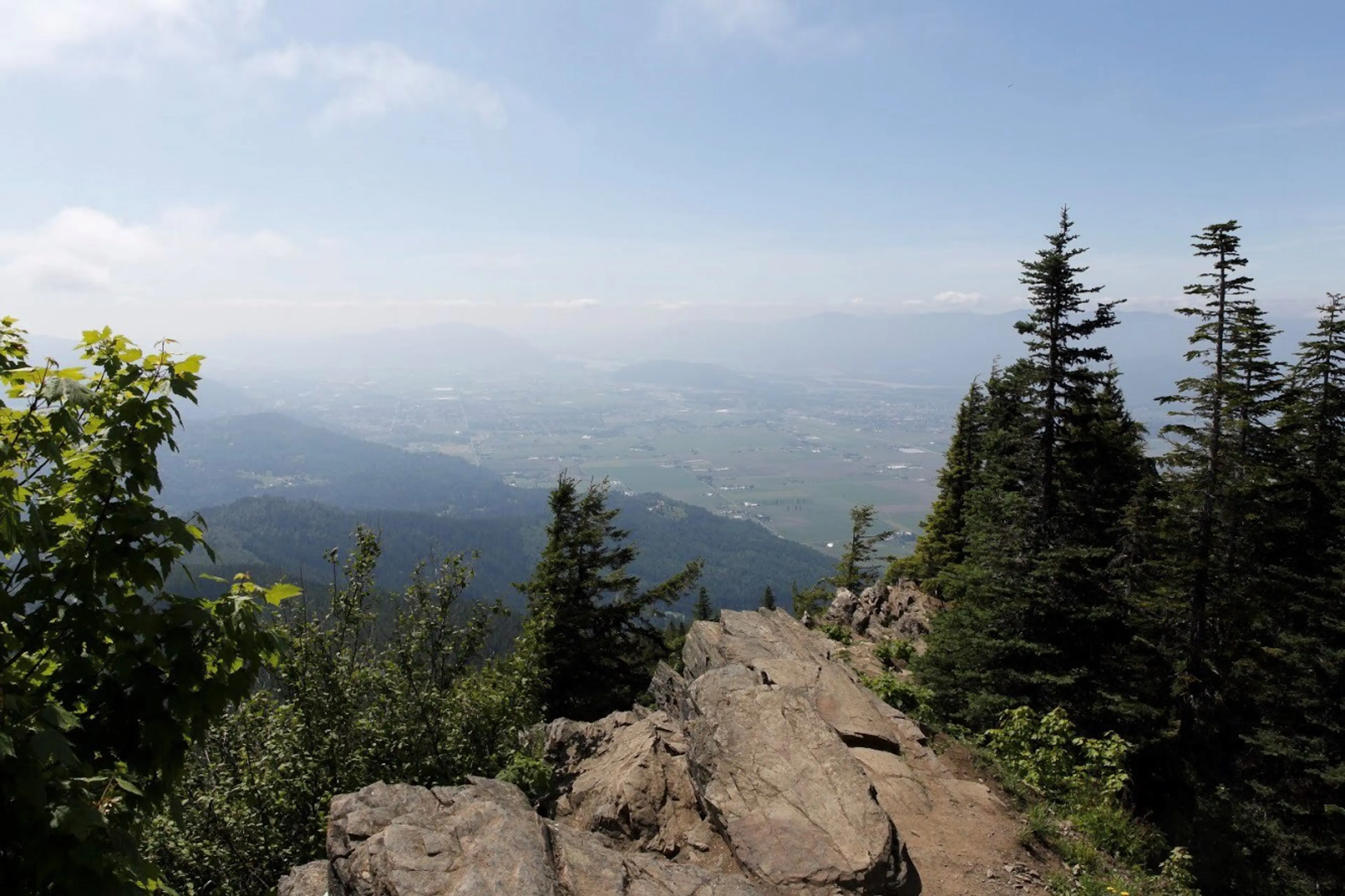 View from Elk Mountain Lookout.