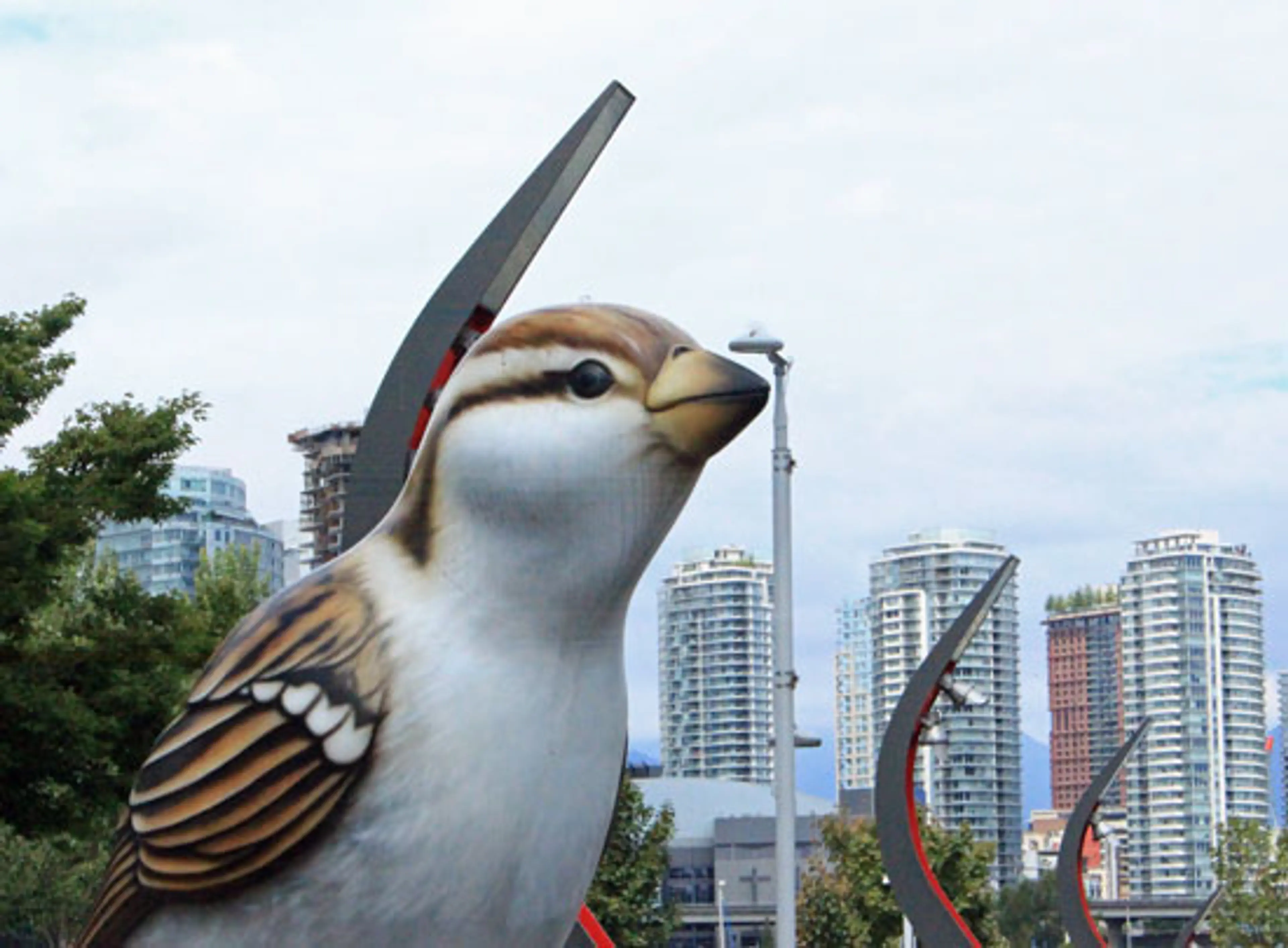 Vancouver’s Dawn Chorus
