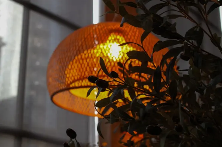 Screenshot-2026-02-24-085021_A585A93E-9A85-6C83-0EAC14999620A4B2-a585a6330bd24a7_a5862985-964e-f762-f1a26ade1f6dcc7f